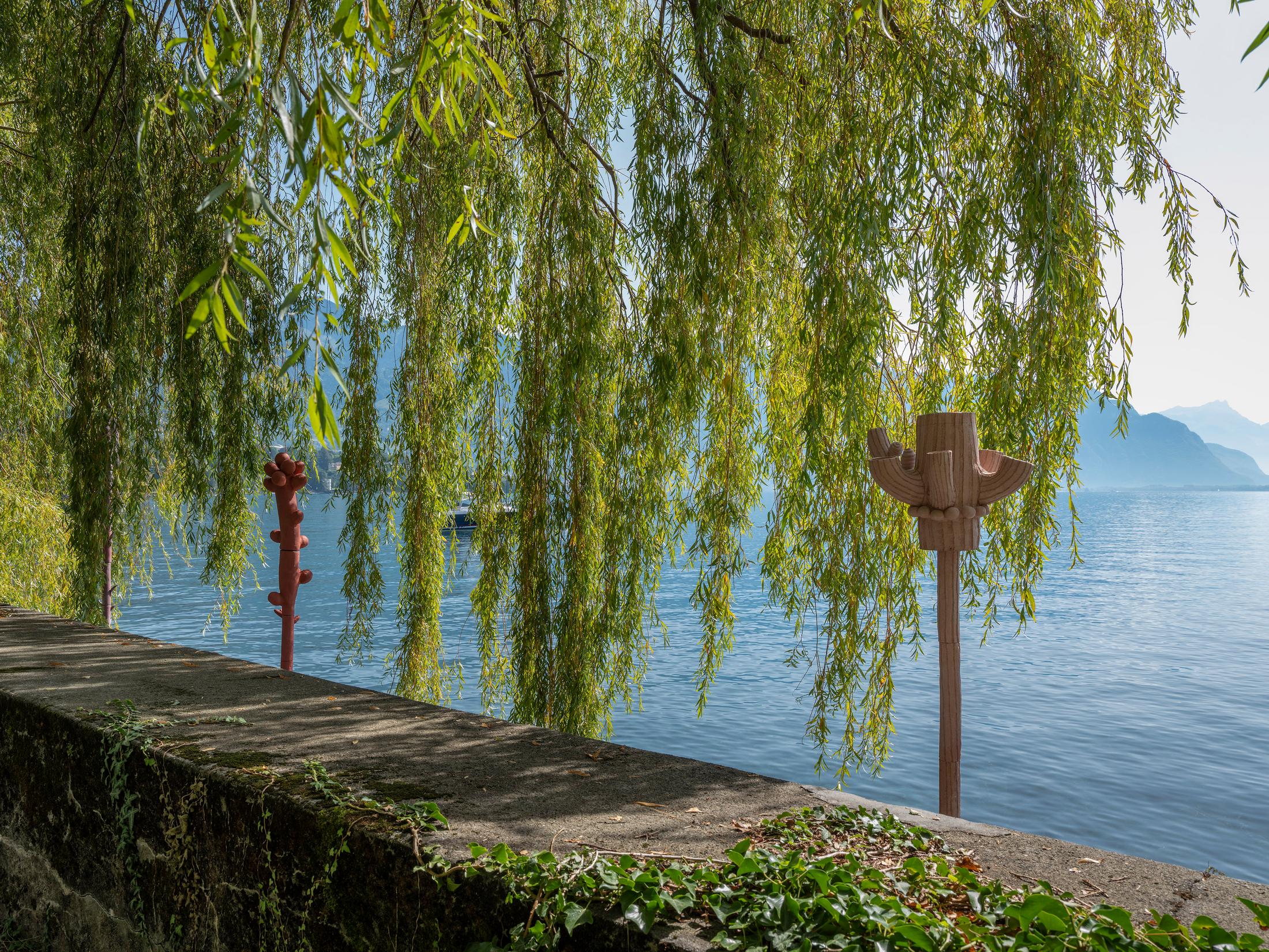 Exhibition View Groupshow «Modern Nature – an hommage to Derek Jarman; view on Marie Griesmar, Zanichellia; Chara; Myriophyllum from the Benthic Zone series (2019)» at La Becque, La Tour-de-Peilz, 2019 / Photo: © Julien Gremaud / Courtesy: the artist and La Becque