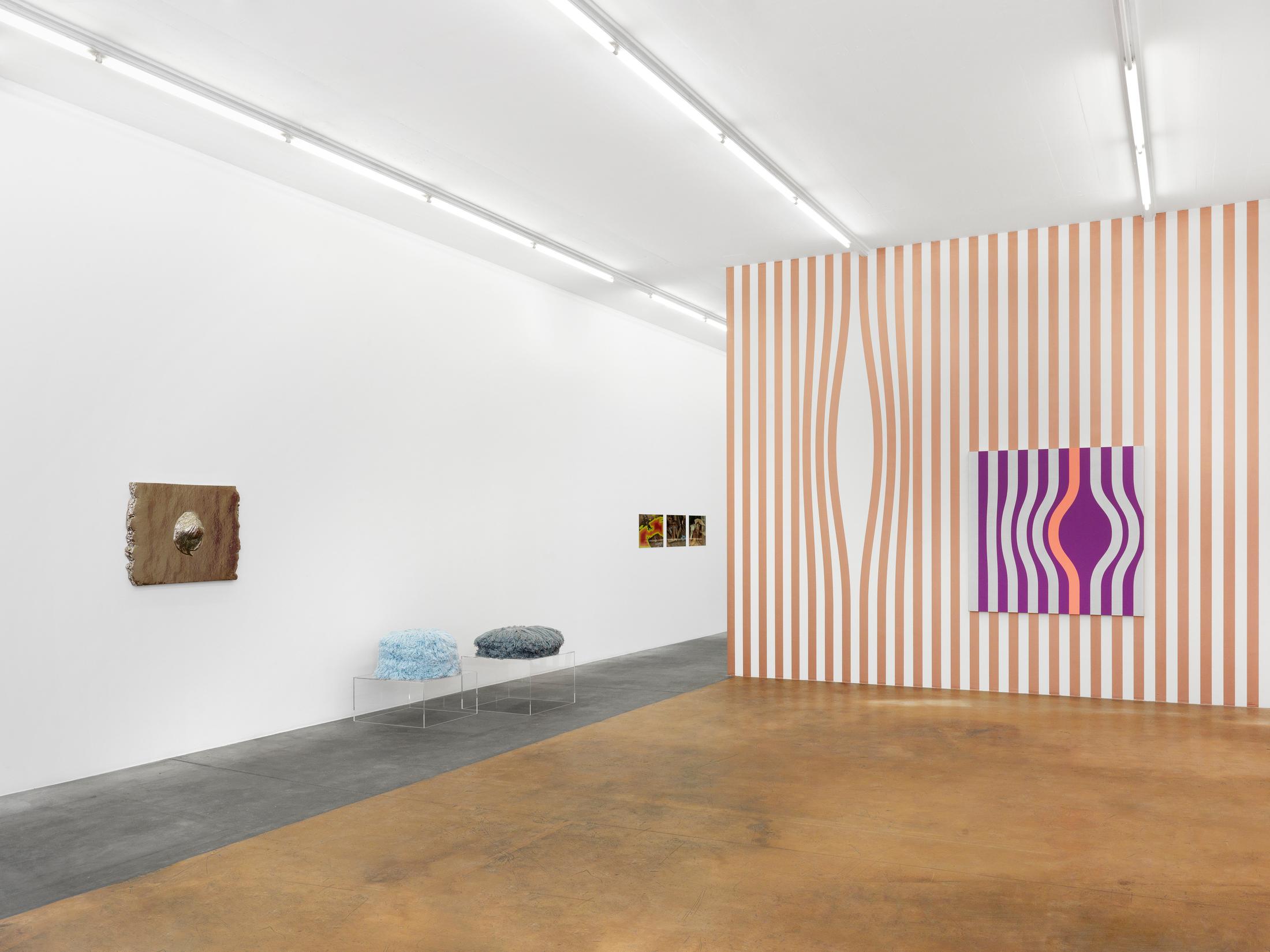 Exhibition view "Nouvelles Images" at MAMCO Geneva / Photo: Annik Wetter / Courtesy: the artist and Mamco