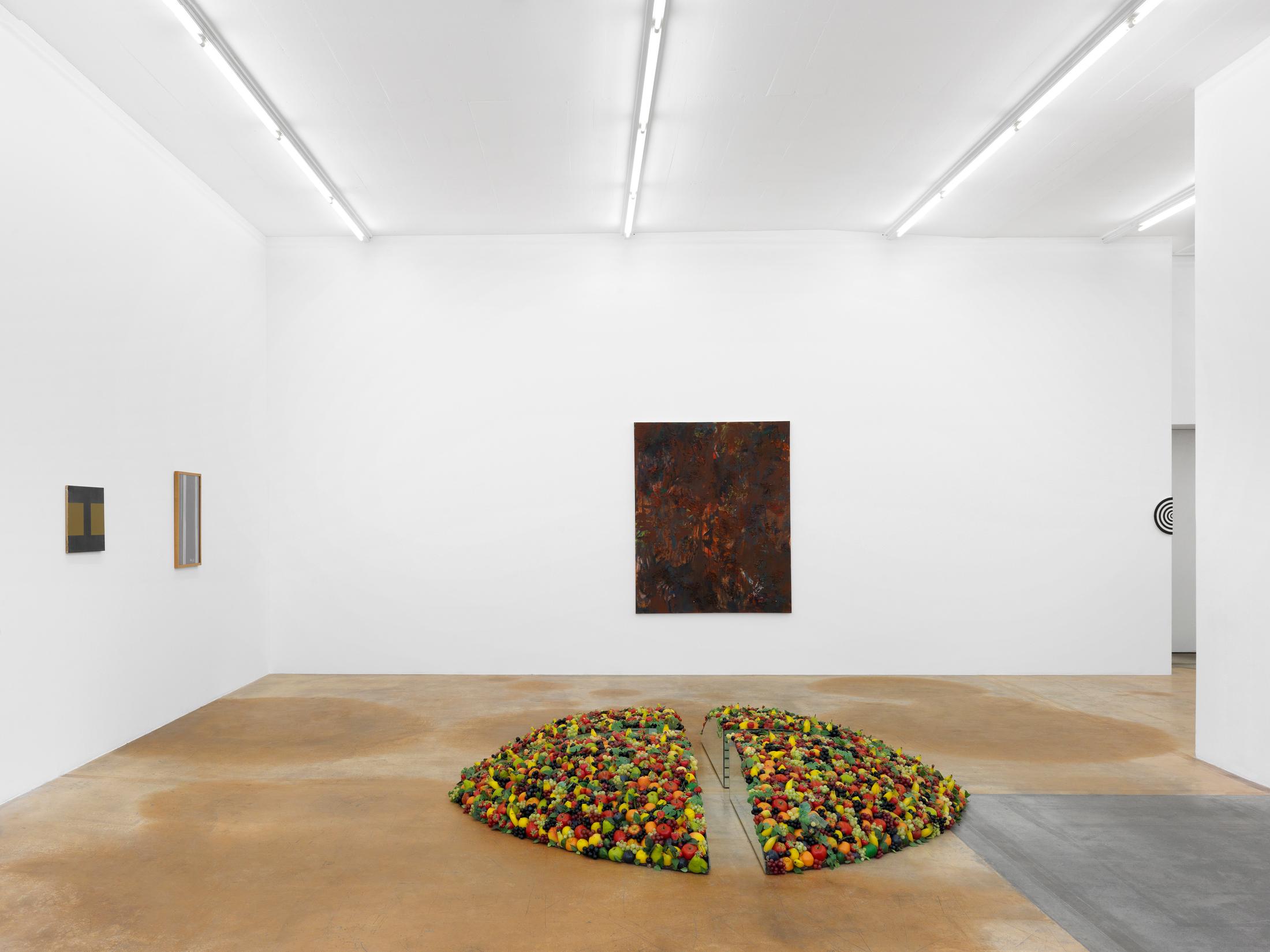 Exhibition view "Nouvelles Images" at MAMCO Geneva / Photo: Annik Wetter / Courtesy: the artist and Mamco