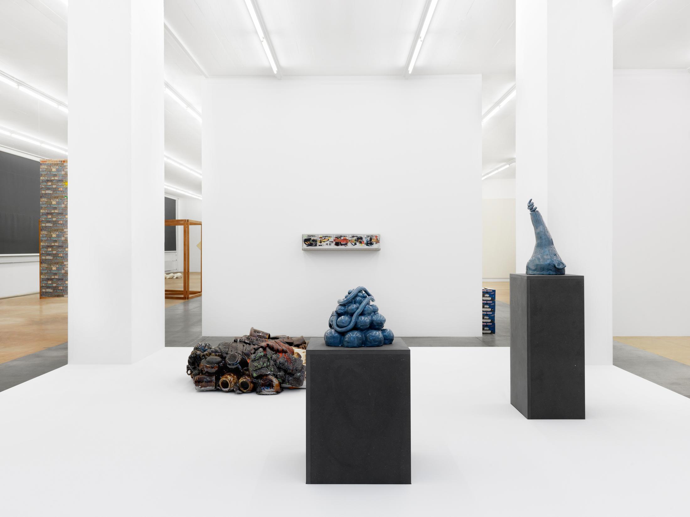 Exhibition view "Nouvelles Images" at MAMCO Geneva / Photo: Annik Wetter / Courtesy: the artist and Mamco