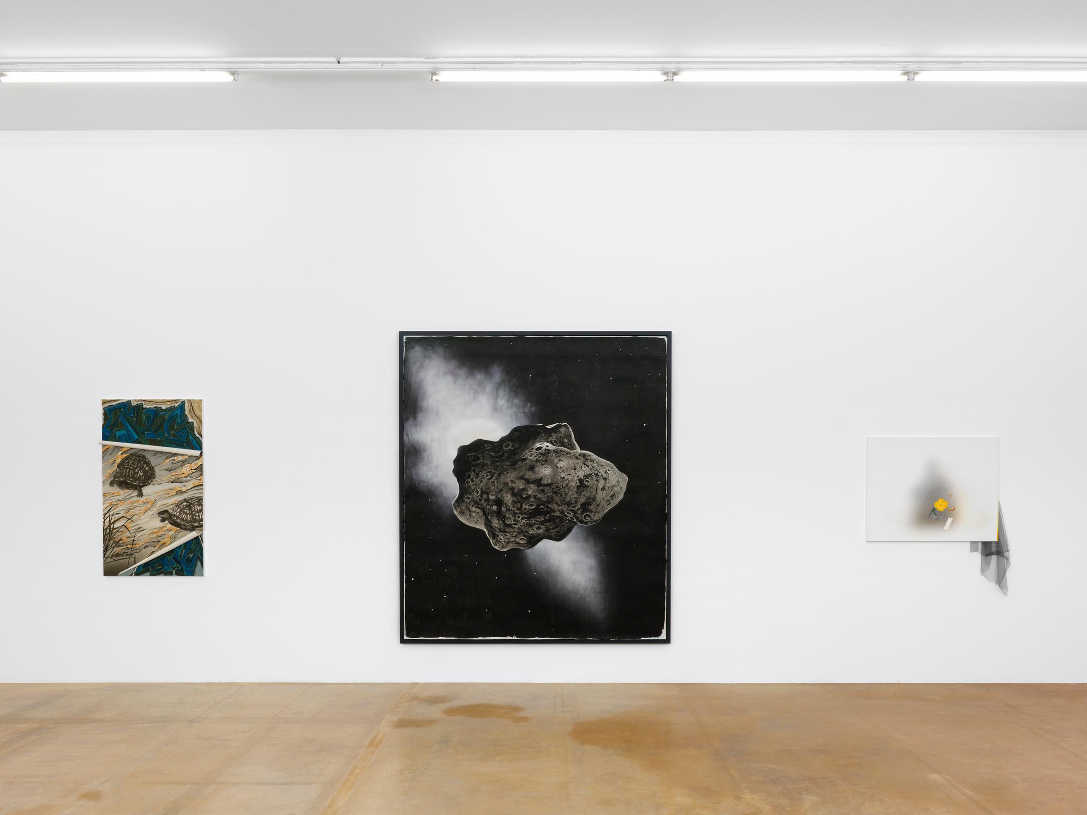 Exhibition view "Nouvelles Images" at MAMCO Geneva / Photo: Annik Wetter / Courtesy: the artist and Mamco