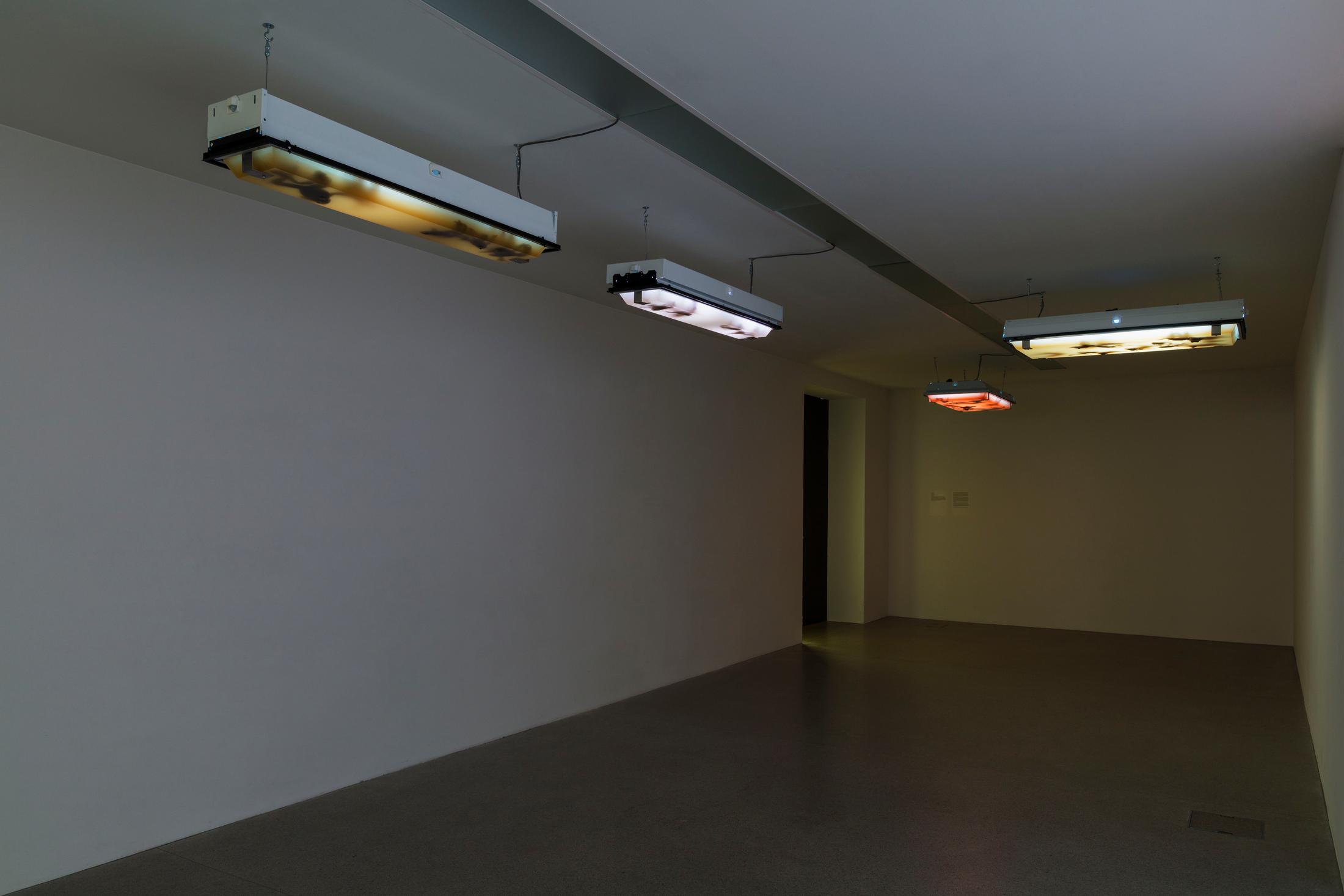 Exhibition View Groupshow «Zeitspuren – The Power of Now with Dora Budor» at PASQUART, Biel/Bienne, 2018 / Photo: Gunnar Meier / Courtesy: New Galerie, Paris