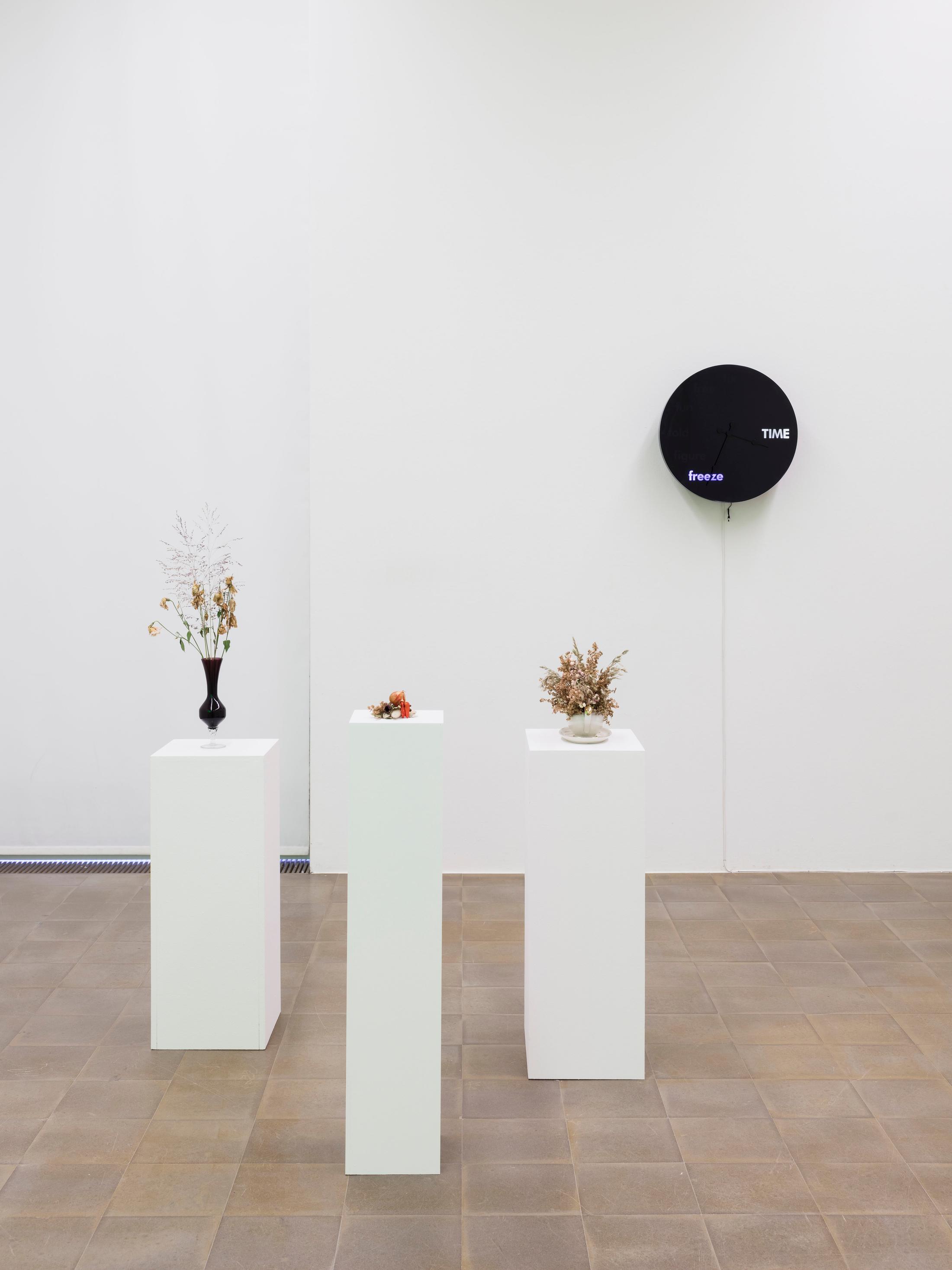 Exhibition View Groupshow «Zeitspuren – The Power of Now with Kapwani Kiwanga and Raqs Media Collective» at PASQUART, Biel/Bienne, 2018 / Photo: Gunnar Meier / Courtesy: the artist and Gallery Jérôme Poggi / Courtesy: the artist and Frith Street Gallery, London