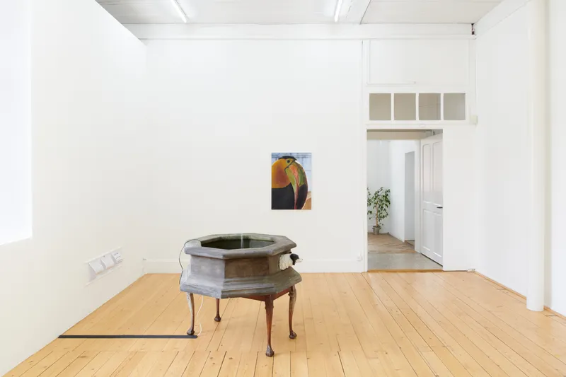 Exhibition View Hamishi Farah Solo Show «Dog Heaven 2, How Sweet the Wound of Jesus Tastes» at Fri Art Kunsthalle, Fribourg, 2021 / Photo: Guillaume Python / Courtesy: the artist and Fri Art Kunsthalle