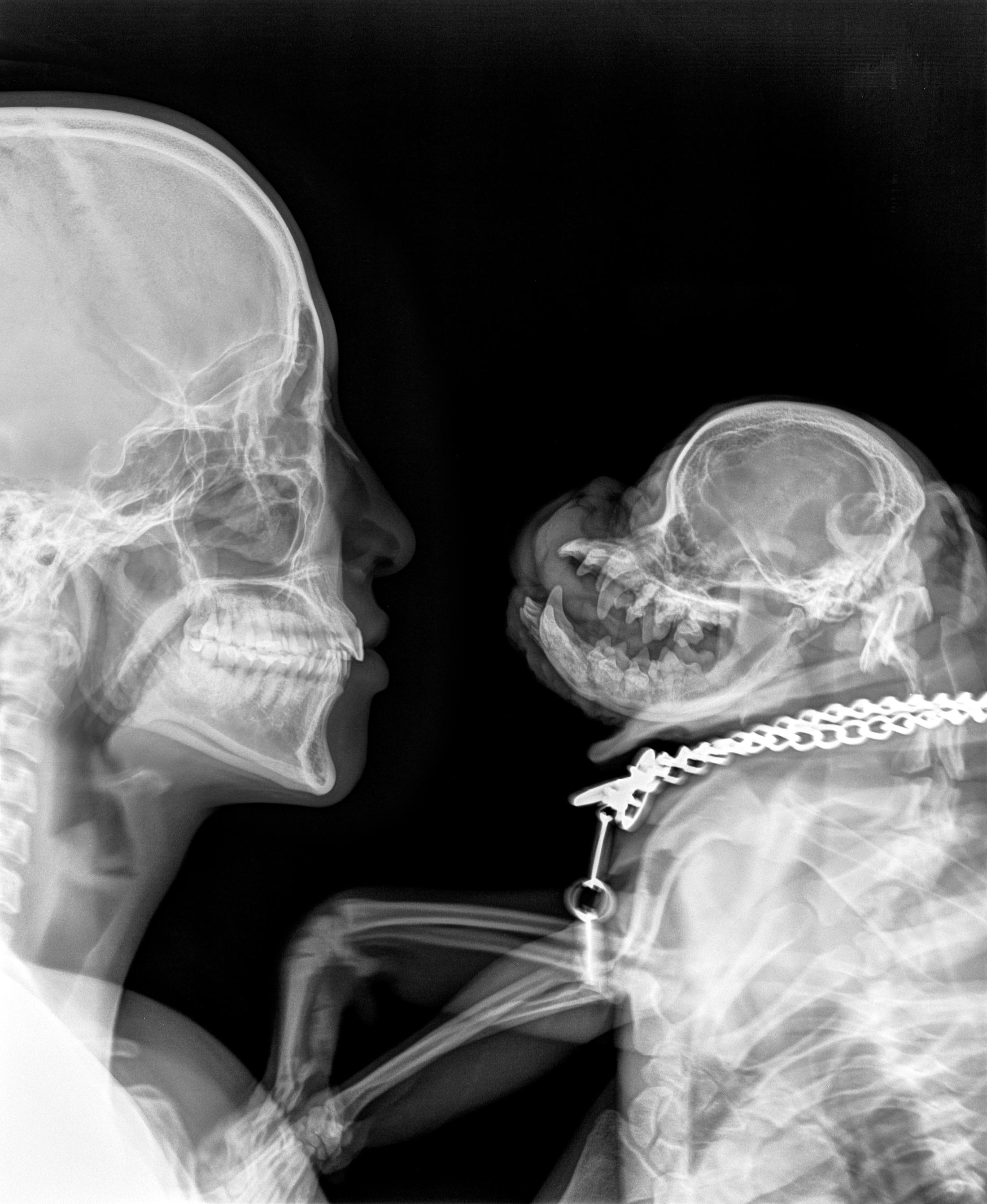 Heji Shin «XRays, 2018» at Kunsthalle Zürich, 2018 / Courtesy: Heji Shin