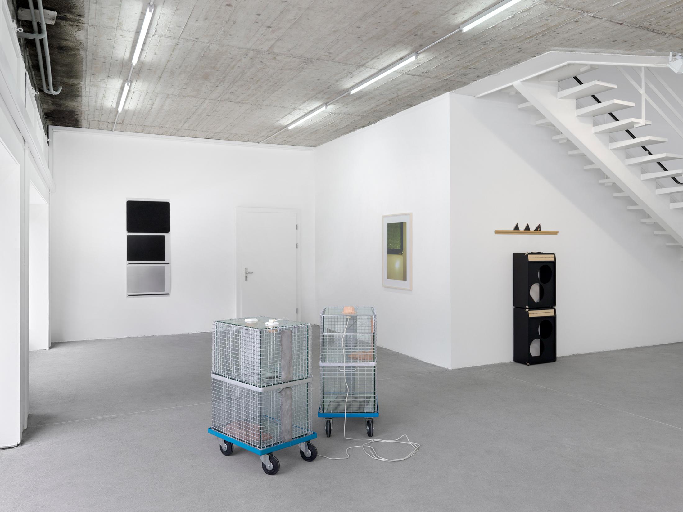 Exhibition View Group Show «Hello America» at Karma International, Zurich, 2021 / Photo: Annik Wetter / Courtesy: the artists and Karma International