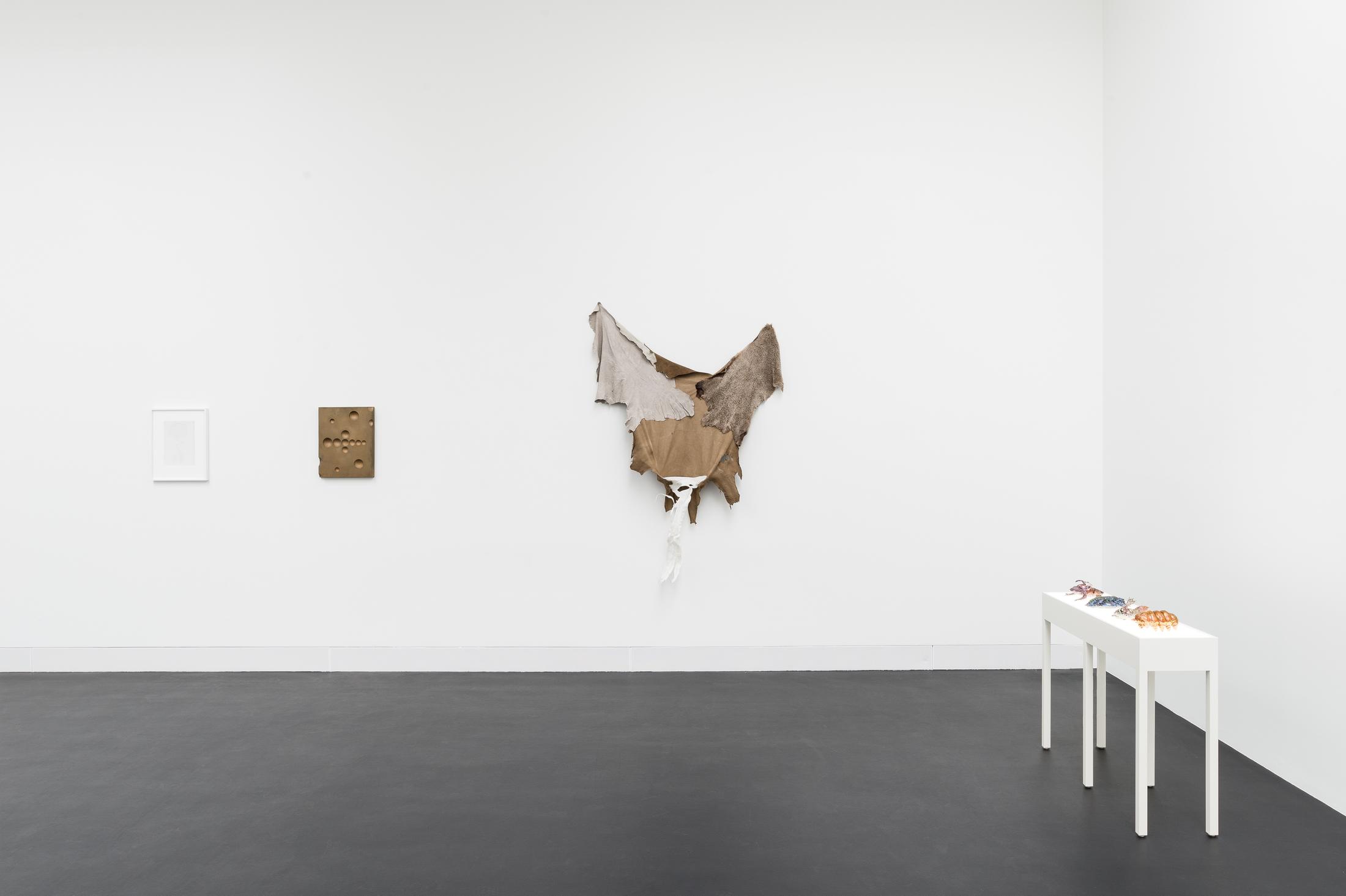 Exhibition View Groupshow «HOOKS & CLAWS» at Galerie Gregor Staiger, Zurich, 2020 / Photo: © Galerie Gregor Staiger / Courtesy: the artists and Galerie Gregor Staiger