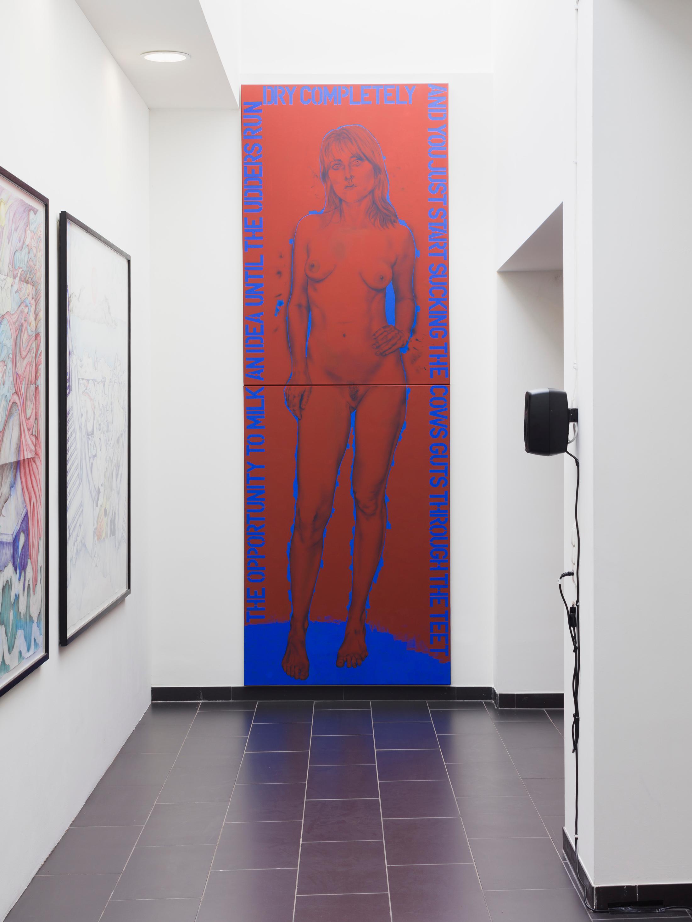 Installation View "I Am Our Common Pronoun" at SALTS, Birsfelden / © Gunnar Meier Photography, Courtesy: SALTS and the artists