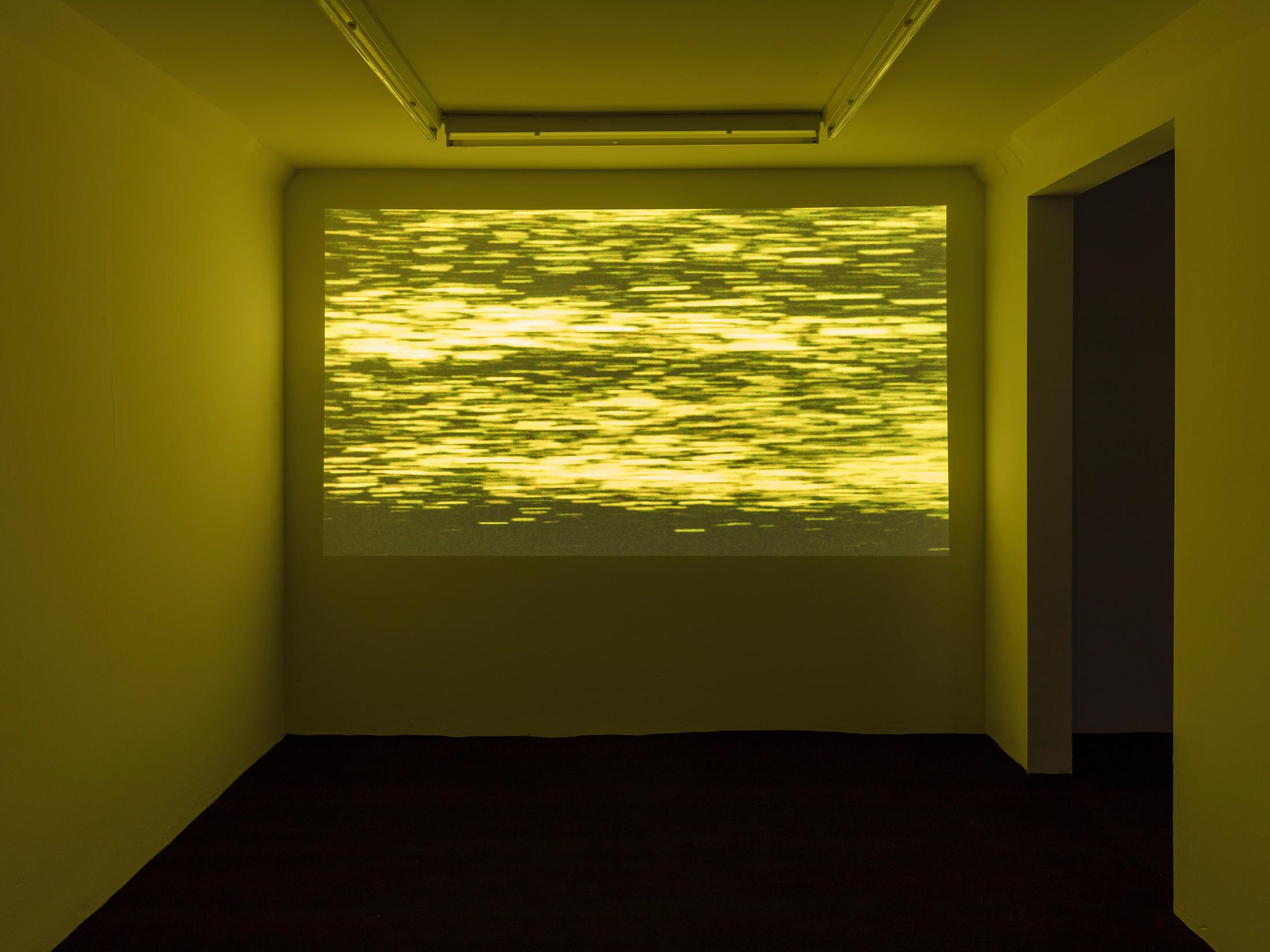 Installation View "I Am Our Common Pronoun" at SALTS, Birsfelden / © Gunnar Meier Photography, Courtesy: SALTS and the artists