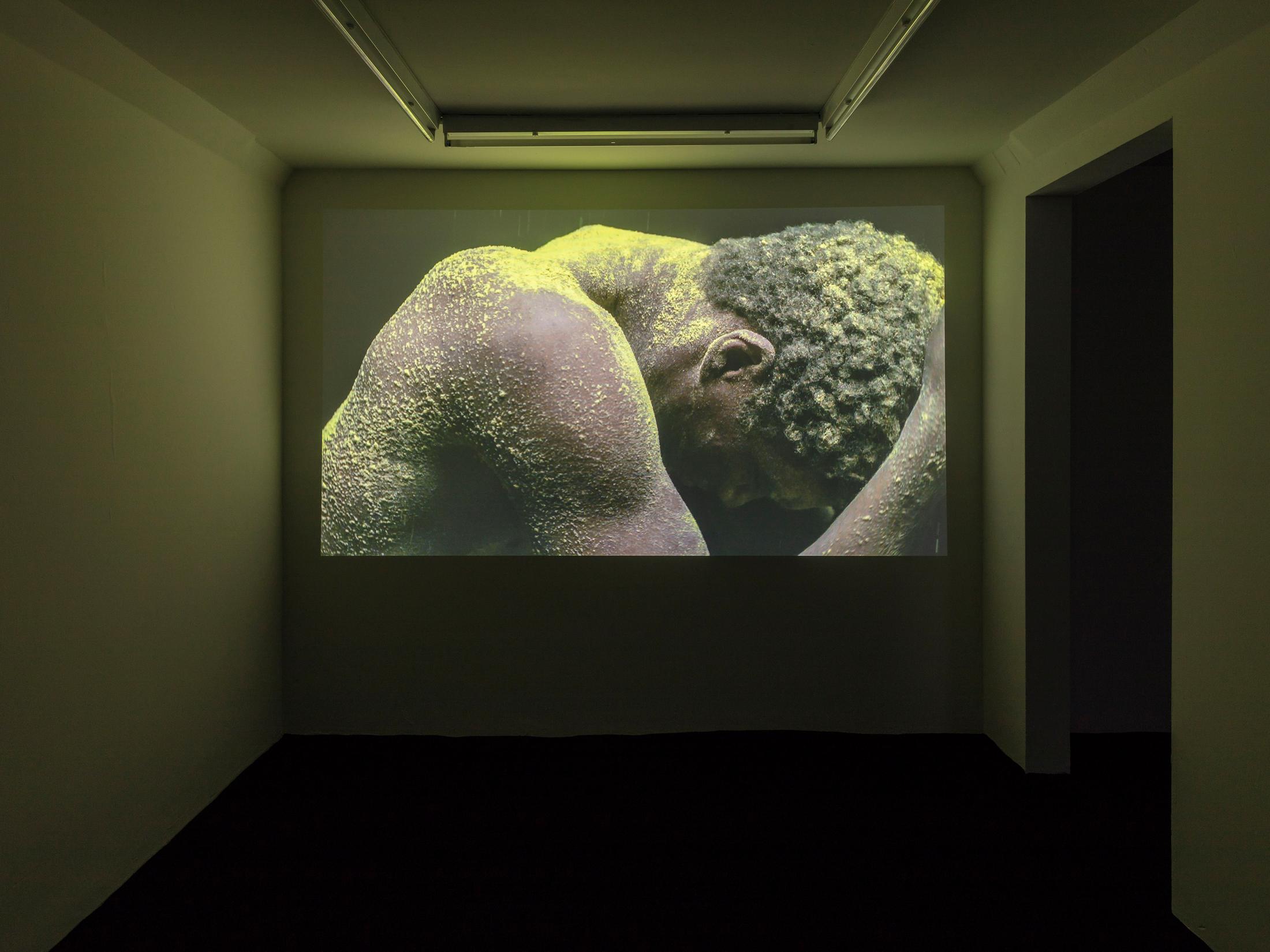 Installation View "I Am Our Common Pronoun" at SALTS, Birsfelden / © Gunnar Meier Photography, Courtesy: SALTS and the artists