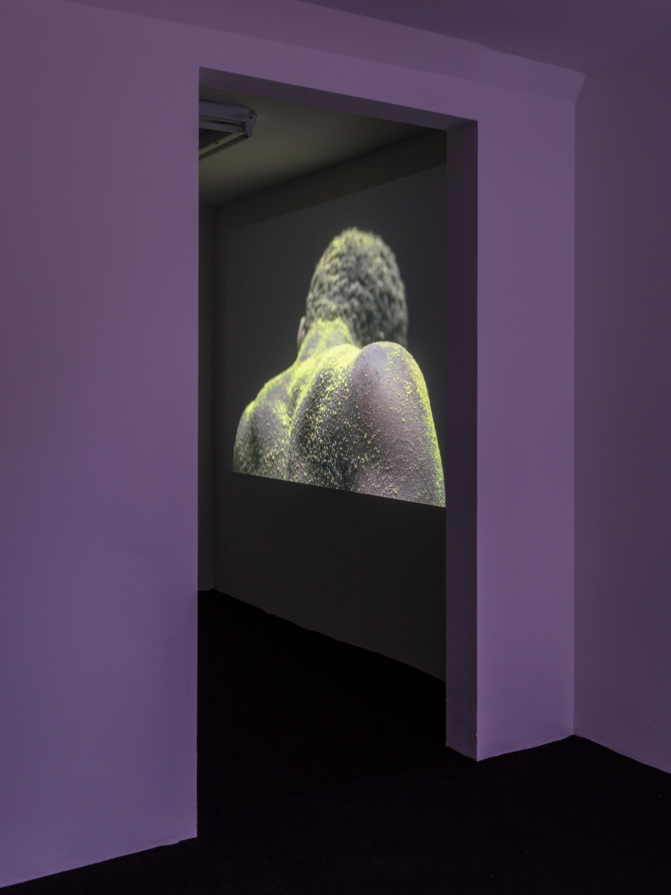 Installation View "I Am Our Common Pronoun" at SALTS, Birsfelden / © Gunnar Meier Photography, Courtesy: SALTS and the artists