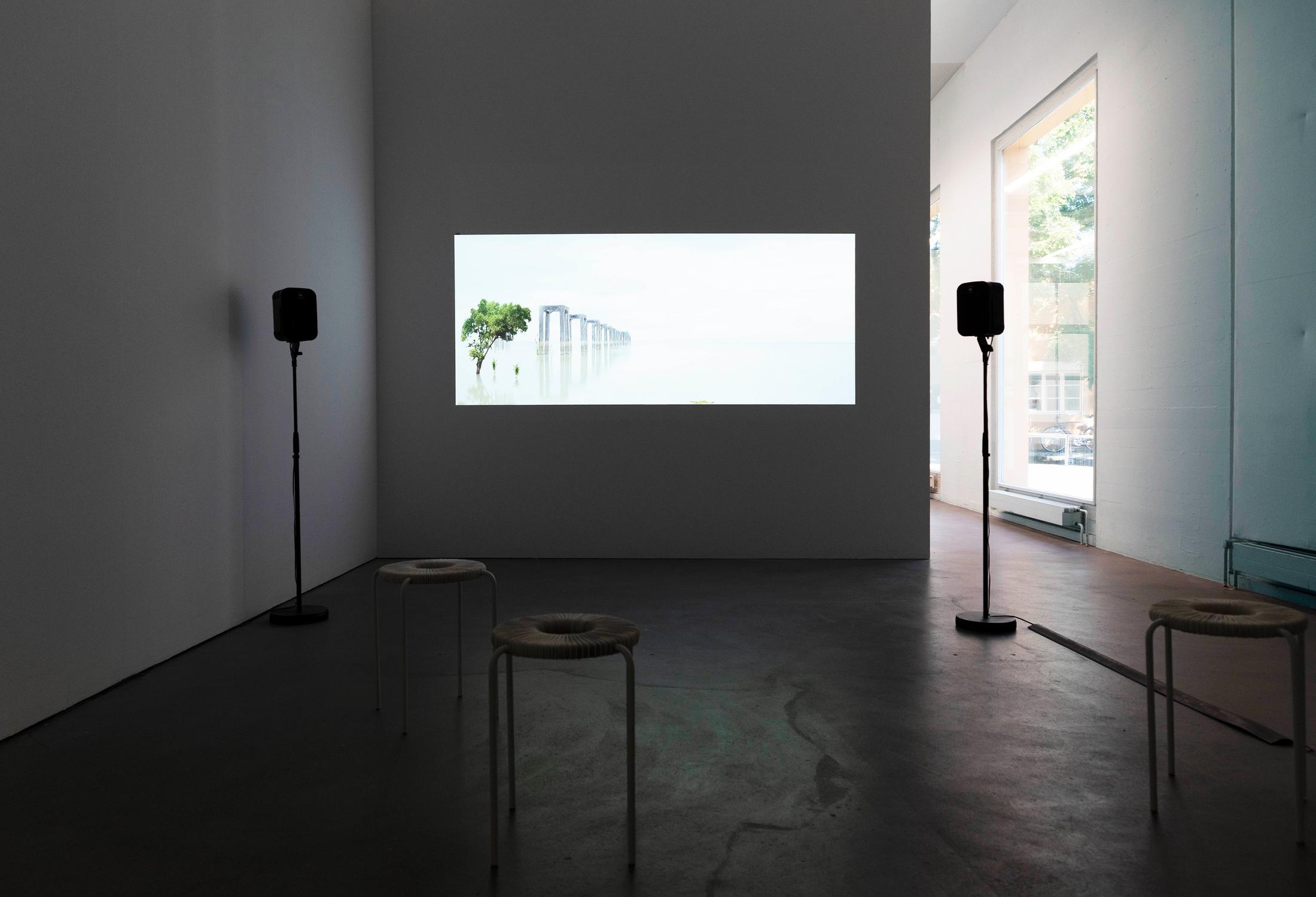 Exhibition View Graduation Show Bachelor and Master Art Institute HGK FHNW, Basel «I-Hood; view on Jonas Schulenburg, Die fruchtbare Asche an den Hängen der Vulkane verursacht reiche Ernten, 2019» at Kunsthaus Baselland, 2019 / Photo: Christoph Bühler / Courtesy: the artists