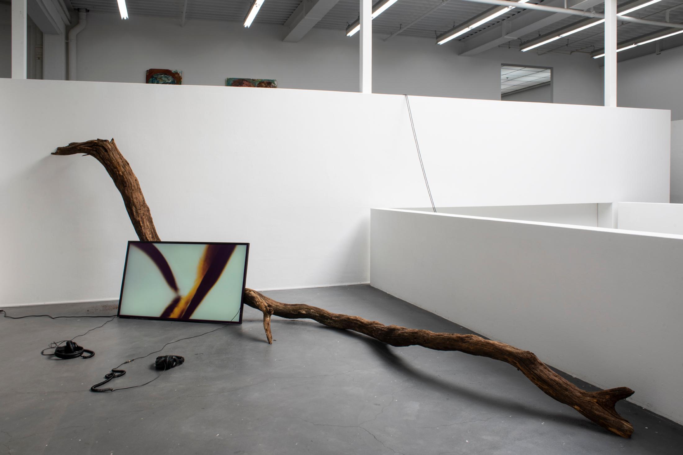 Exhibition View Graduation Show Bachelor and Master Art Institute HGK FHNW, Basel «I-Hood; view on Timothée Verheij, demain, un sentier, 2019» at Kunsthaus Baselland, 2019 / Photo: Christian Knörr / Courtesy: the artists