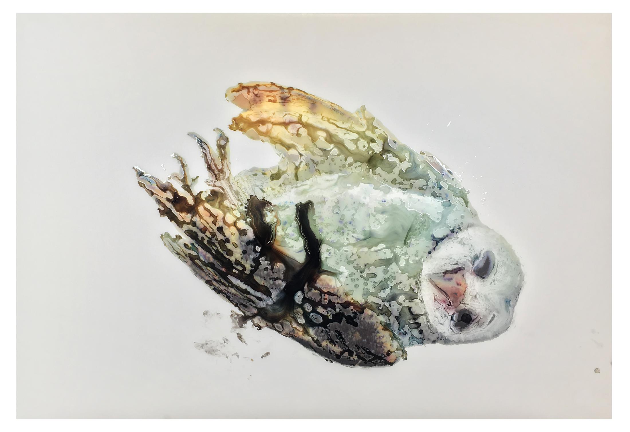 Ida Applebroog Soloshow view on Owl, 2018 at Kunstmuseum Thun, 2019, Thun / Photo: Emily Poole / © Ida Applebroog / Courtesy Hauser & Wirth