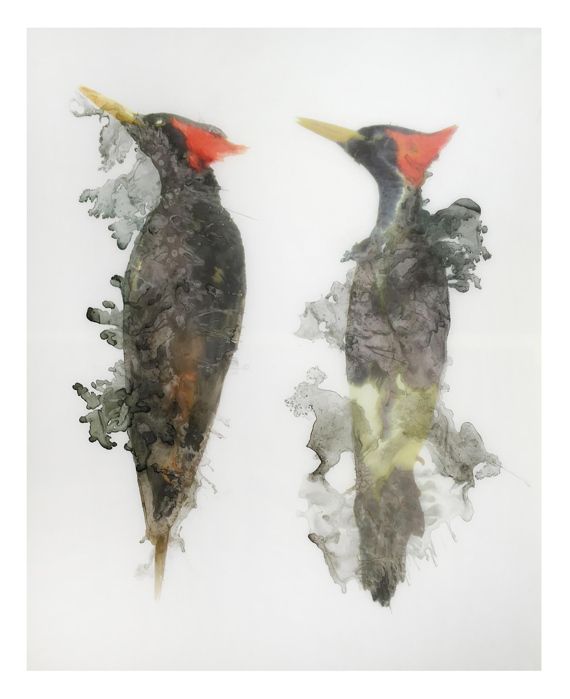 Ida Applebroog Soloshow view on Woodpecker, 2018 at Kunstmuseum Thun, 2019, Thun / Photo: Emily Poole / © Ida Applebroog / Courtesy Hauser & Wirth