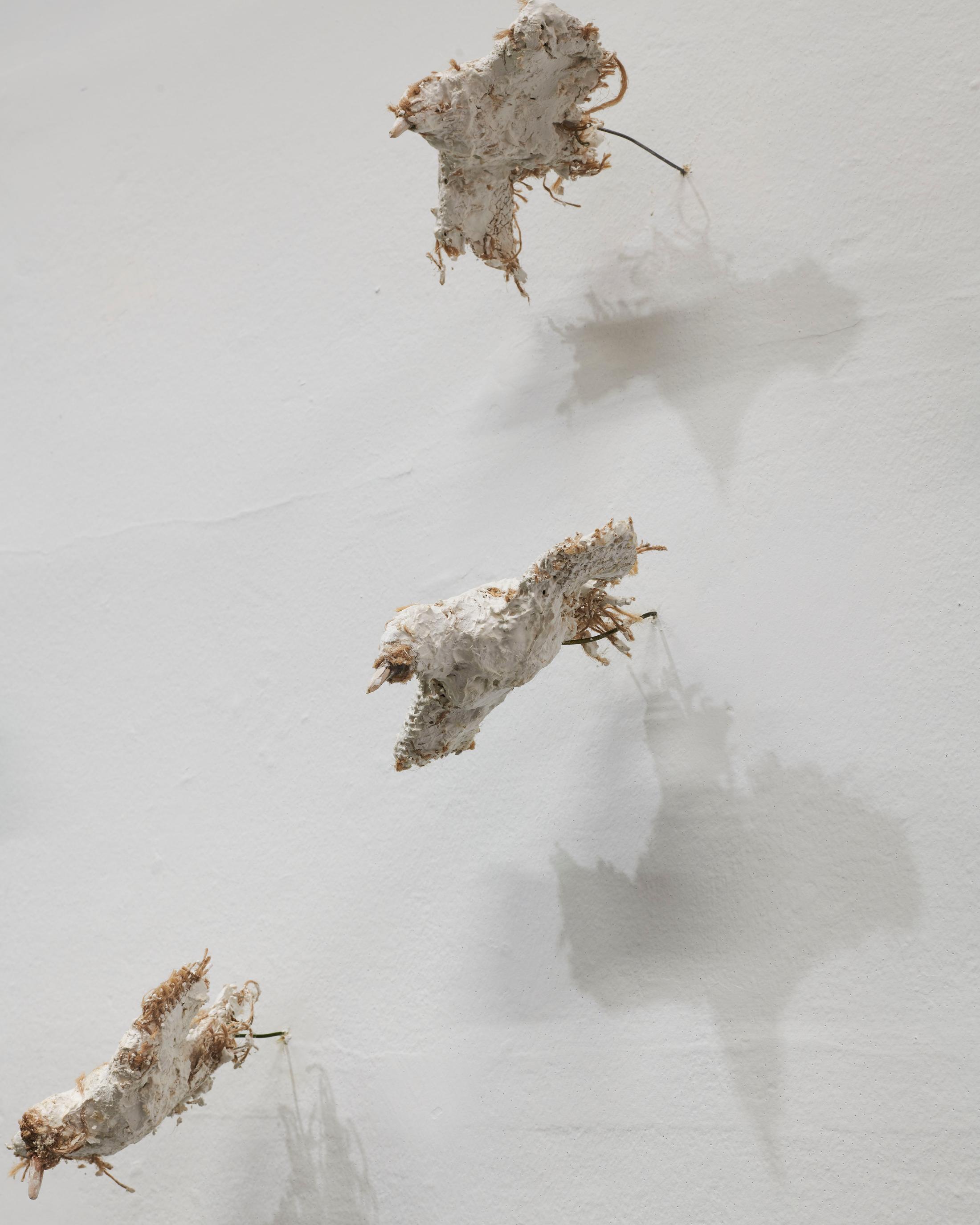 Exhibition View Ida Applebroog Soloshow at Kunstmuseum Thun, 2019, Thun / Photo: Dominique Uldry