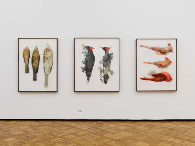 Exhibition View Ida Applebroog Soloshow at Kunstmuseum Thun, 2019, Thun / Photo: Dominique Uldry