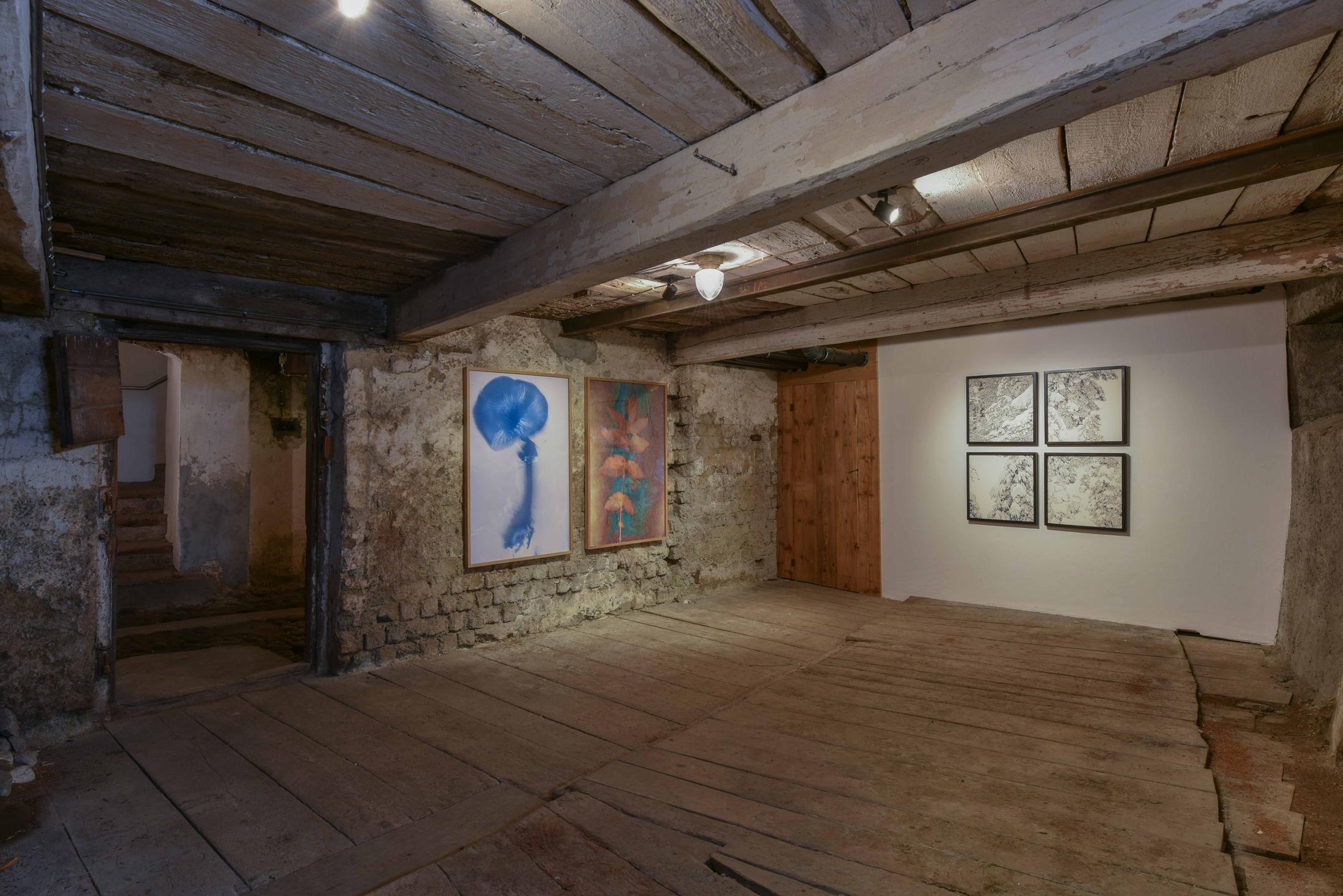 Exhibition View Group Show «Il god - ün omagi per nos bazegner» at Stalla Madulain, Madulain, 2021 / Photo: Stephan Schenk / Courtesy: the artists and Stalla Madulain