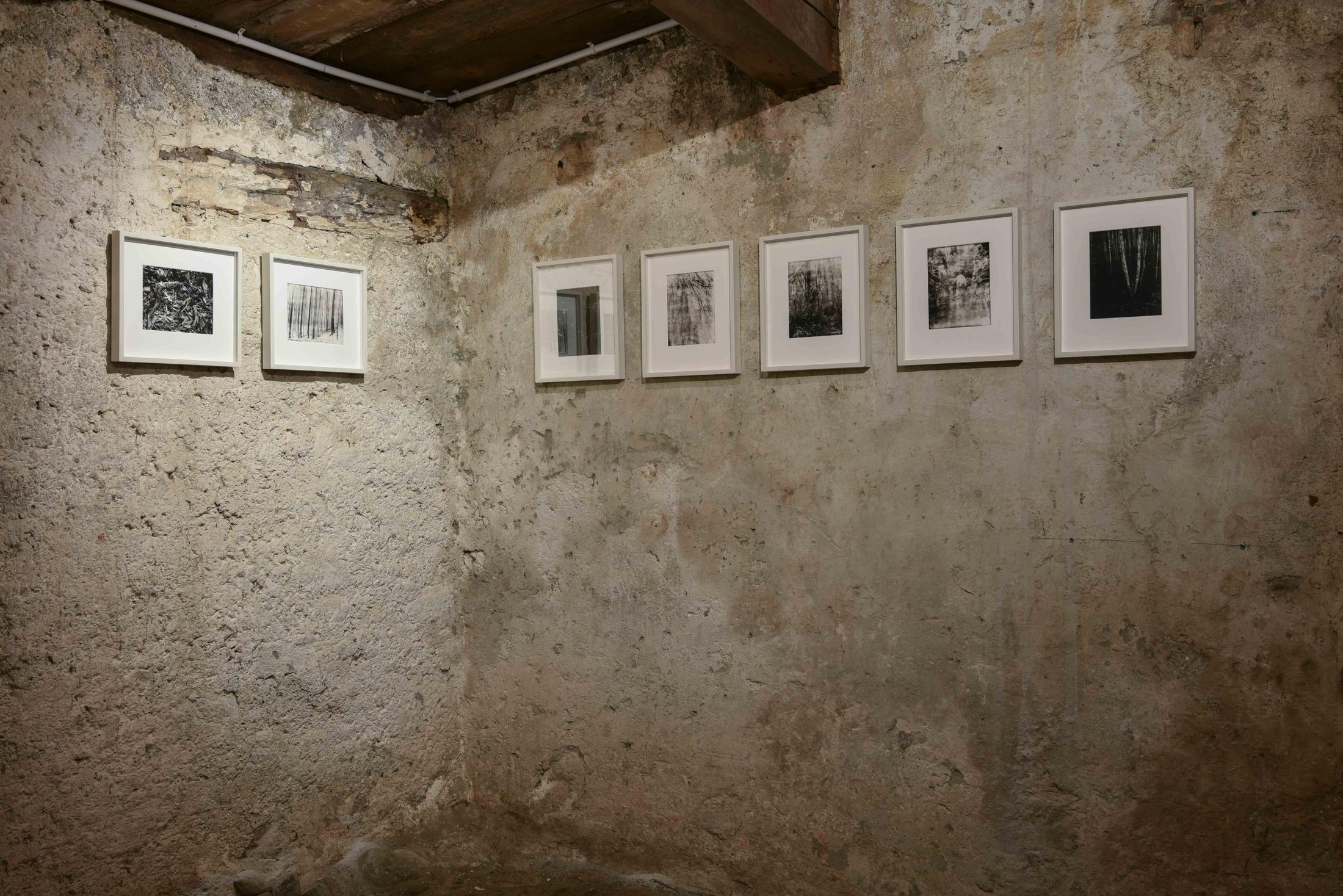 Exhibition View Group Show «Il god - ün omagi per nos bazegner» at Stalla Madulain, Madulain, 2021 / Photo: Stephan Schenk / Courtesy: the artists and Stalla Madulain