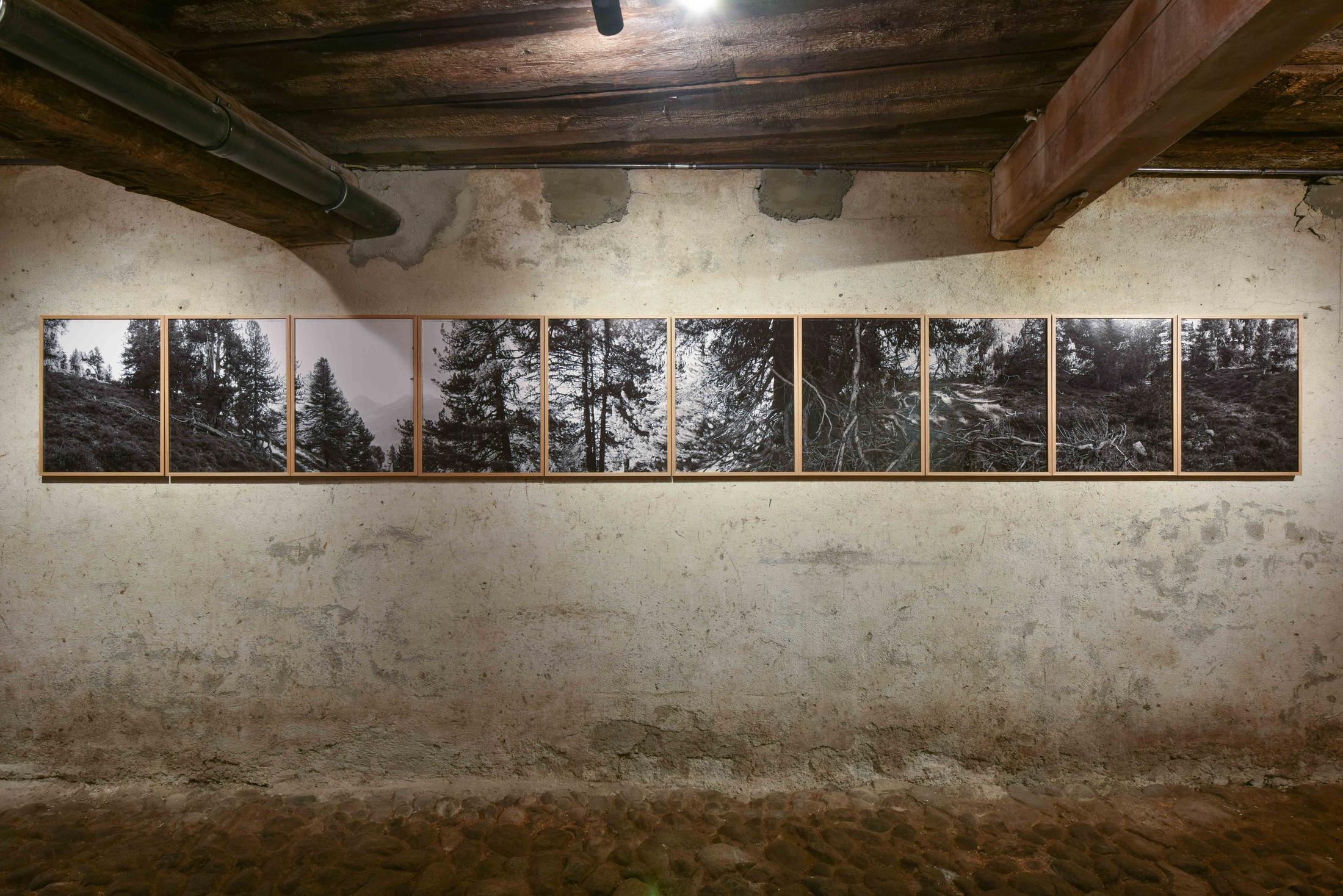 Exhibition View Group Show «Il god - ün omagi per nos bazegner» at Stalla Madulain, Madulain, 2021 / Photo: Stephan Schenk / Courtesy: the artists and Stalla Madulain