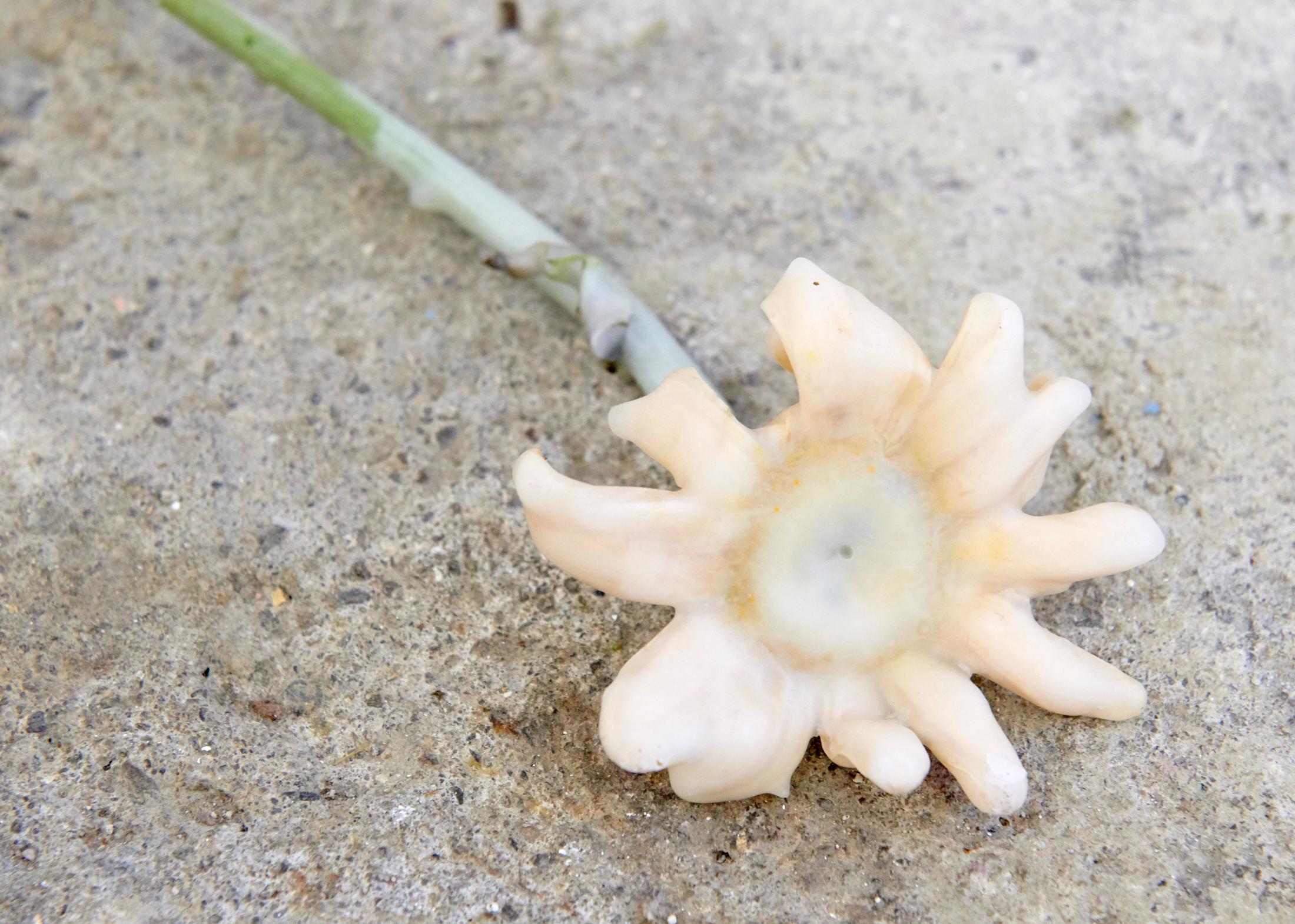 Exhibition View Duo Exhibition «Sunday Was Already Today; view on Ilaria Vinci» at WallStreet, Fribourg, 2020 / Photo: Guillaume Python / Courtesy: the artist and WallStreet