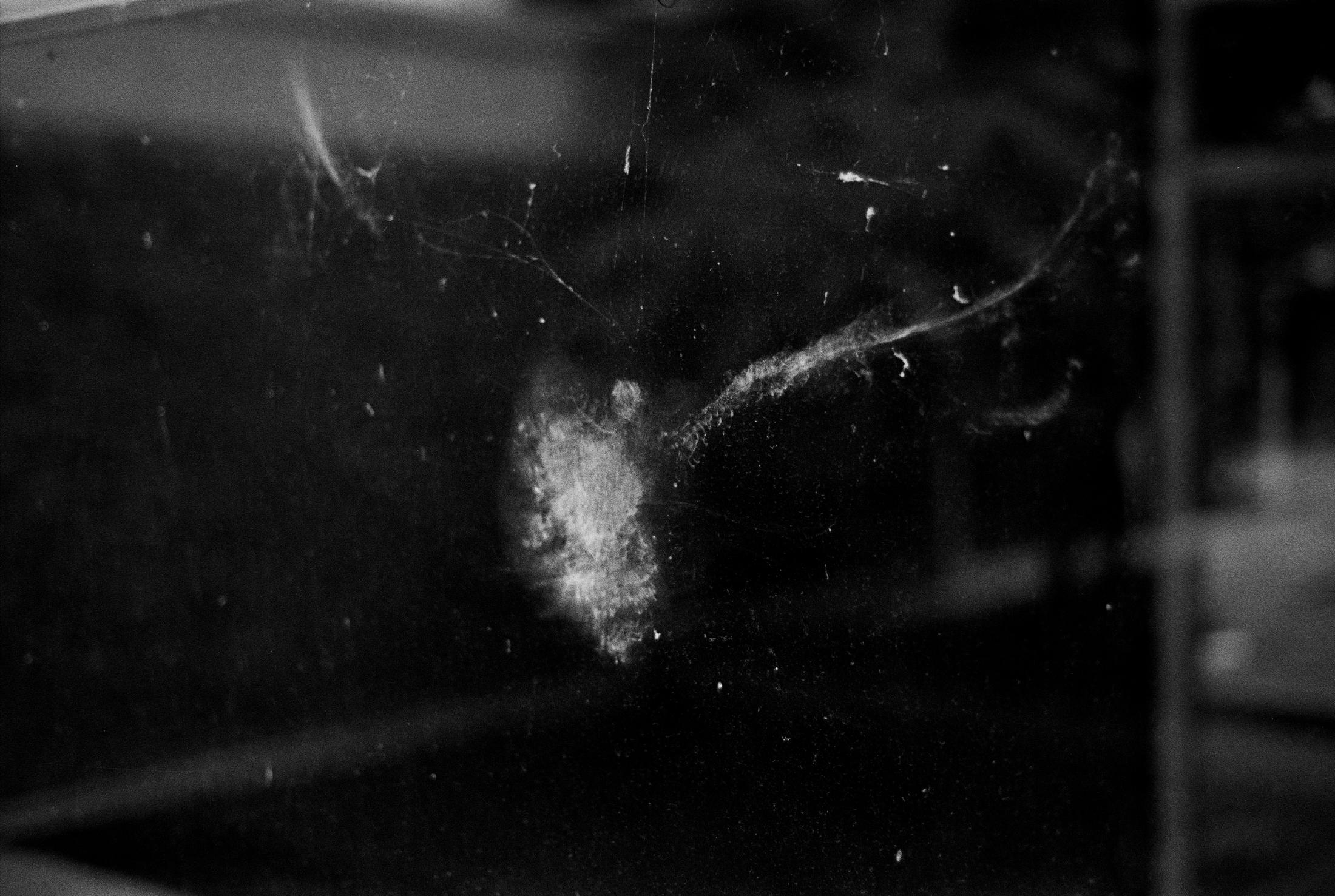 Richard Frater, Not yet titled I (Akademie der Künste, Hansaviertel), 2020 / Courtesy: the artist