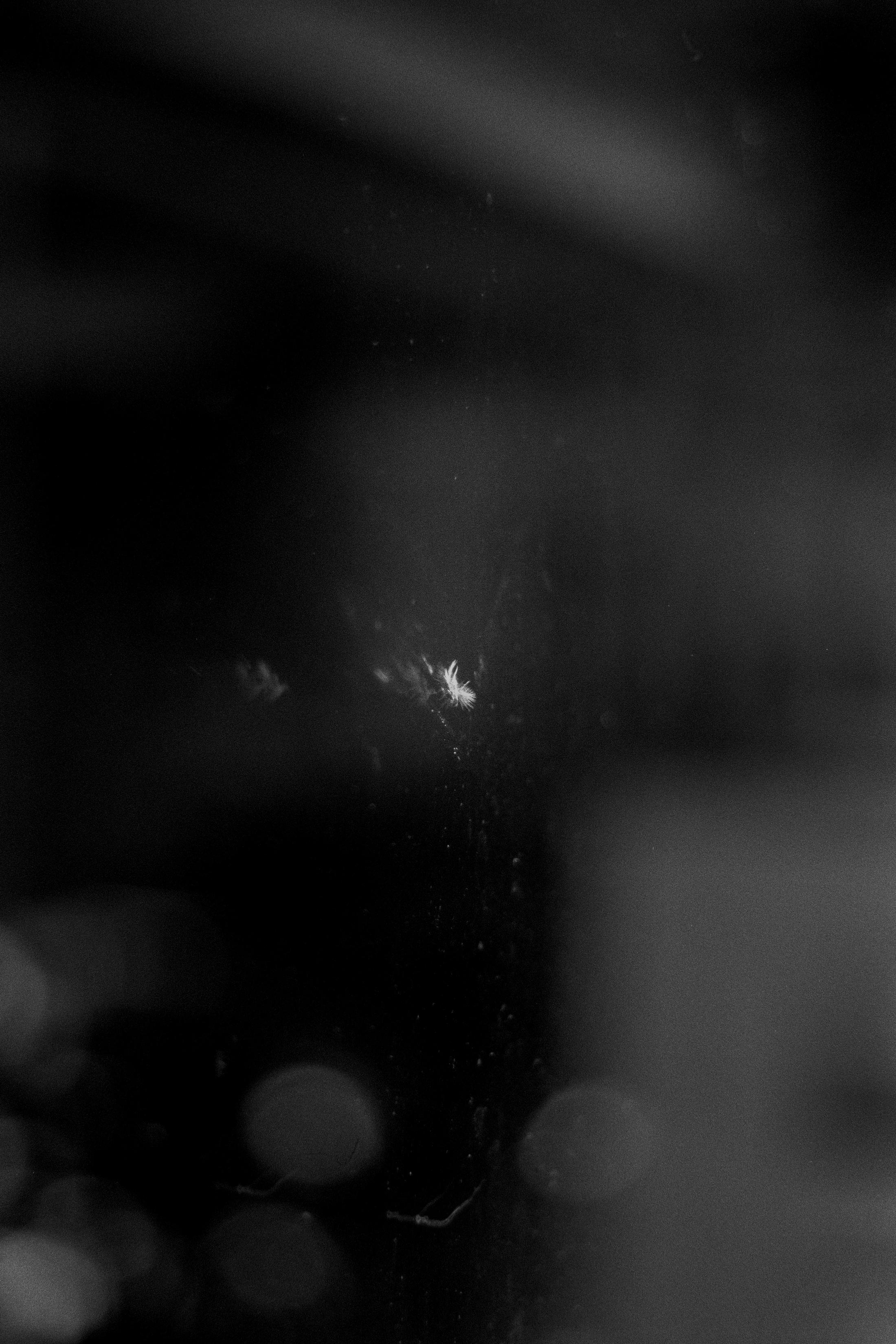 Richard Frater, Not yet titled III (Akademie der Künste, Hansaviertel), 2020 / Courtesy: the artist