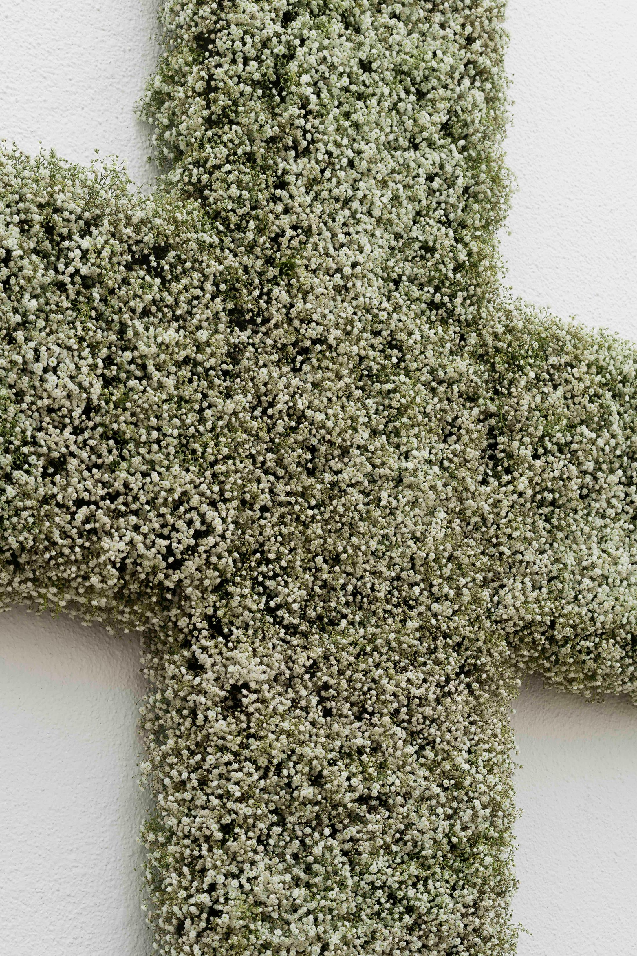 Exhibition View Group Show «Im Volksgarten; view on Ali ‡Tobias Kaspar, coreOATK_01, 2020, (detail), from coreOATK or Stop Reading my Art as the Story of my Life, 2020, gypsophila, OASIS foam, 485 x 800 x 60 cm» at Kunsthaus Glarus, Glarus, 2020 / Photo: Gunnar Meier / Courtesy: the artist and Gallery Peter Kilchmann, Zurich