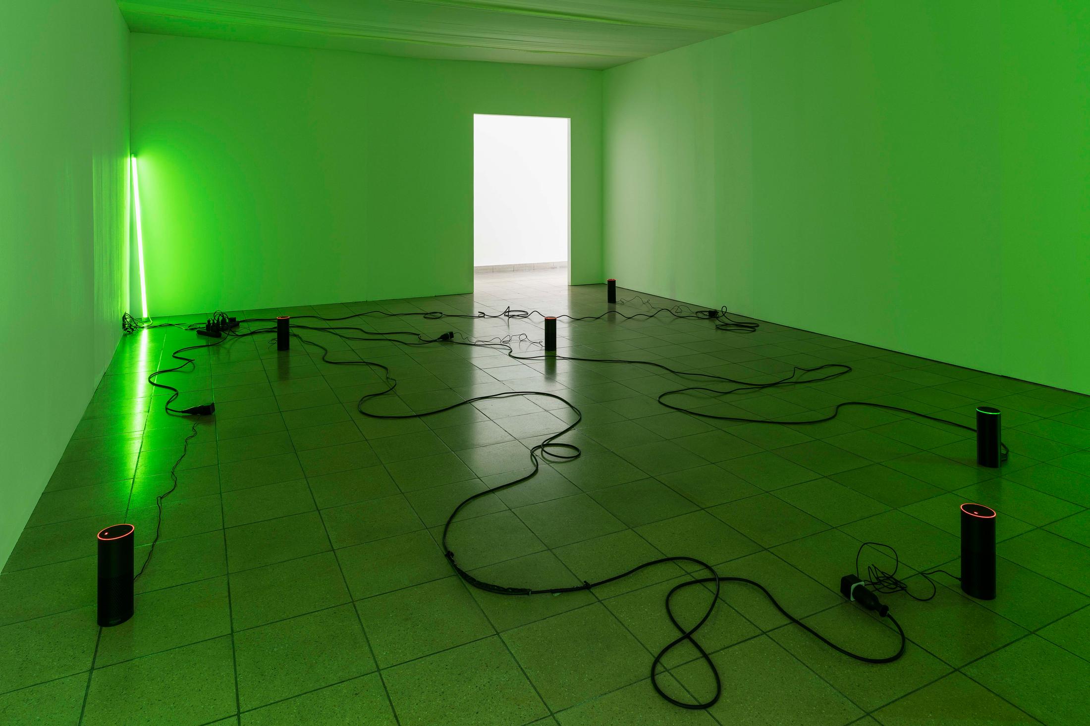 Exhibition View Group Show «Im Volksgarten; view on Julia Scher, Delta, 2018, 5 Amazon Alexas, fake Alexa, cables, sound, size variable» at Kunsthaus Glarus, Glarus, 2020 / Photo: Gunnar Meier / Courtesy: the artist and DREI, Cologne / Esther Schipper, Berlin