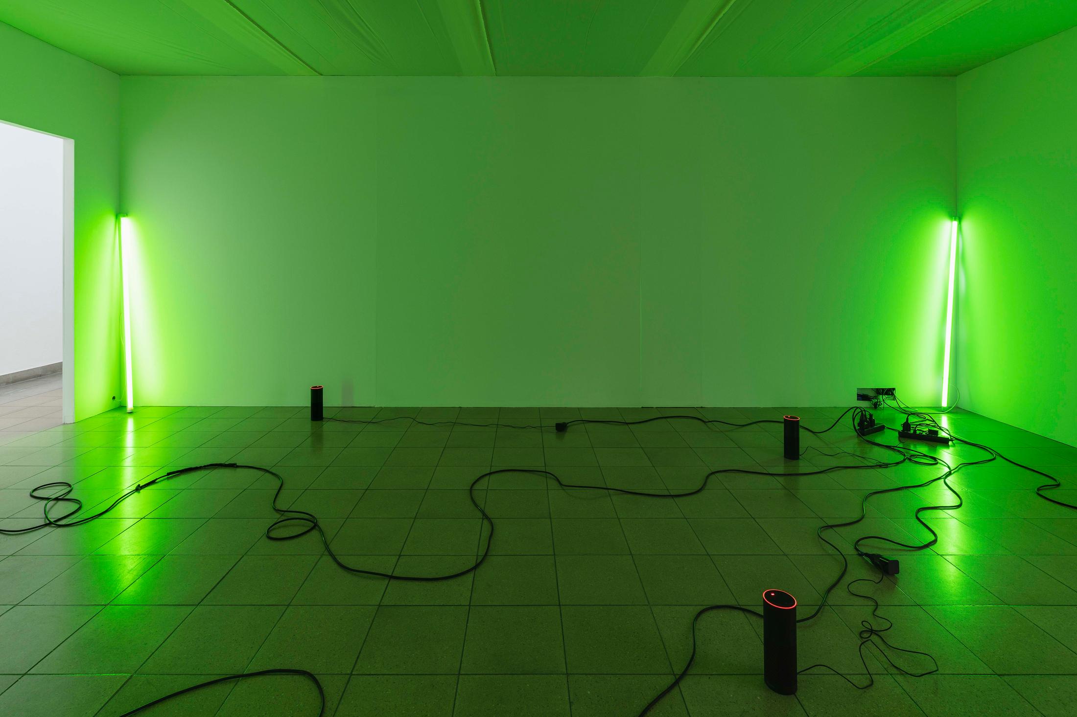Exhibition View Group Show «Im Volksgarten; view on Julia Scher, Delta, 2018, 5 Amazon Alexas, fake Alexa, cables, sound, size variable» at Kunsthaus Glarus, Glarus, 2020 / Photo: Gunnar Meier / Courtesy: the artist and DREI, Cologne / Esther Schipper, Berlin