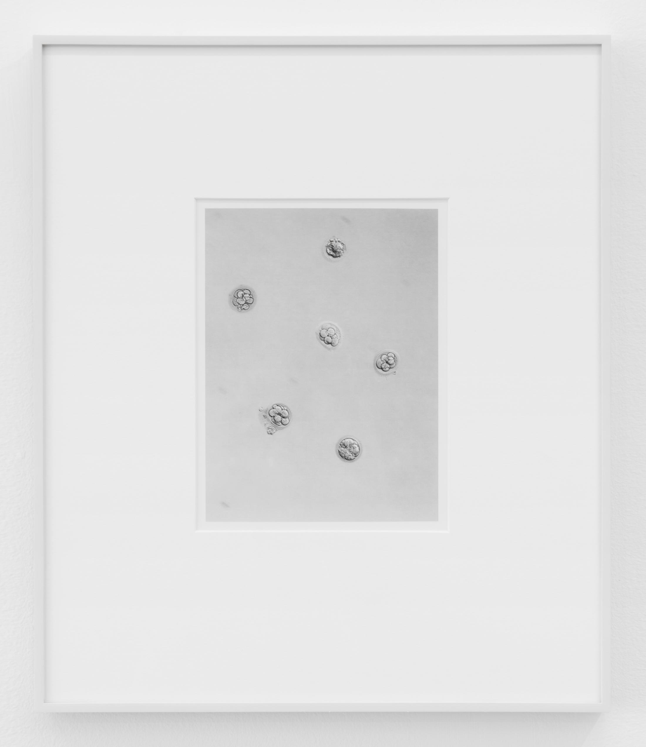 Exhibition View Group Show «Im Volksgarten; view on Carissa Rodriguez, All the Best Memories are Hers, 2018, silver gelatin print from LVT Negative, 29.2 x 31.8 cm» at Kunsthaus Glarus, Glarus, 2020 / Photo: Karma International, Zurich / Courtesy: the artist