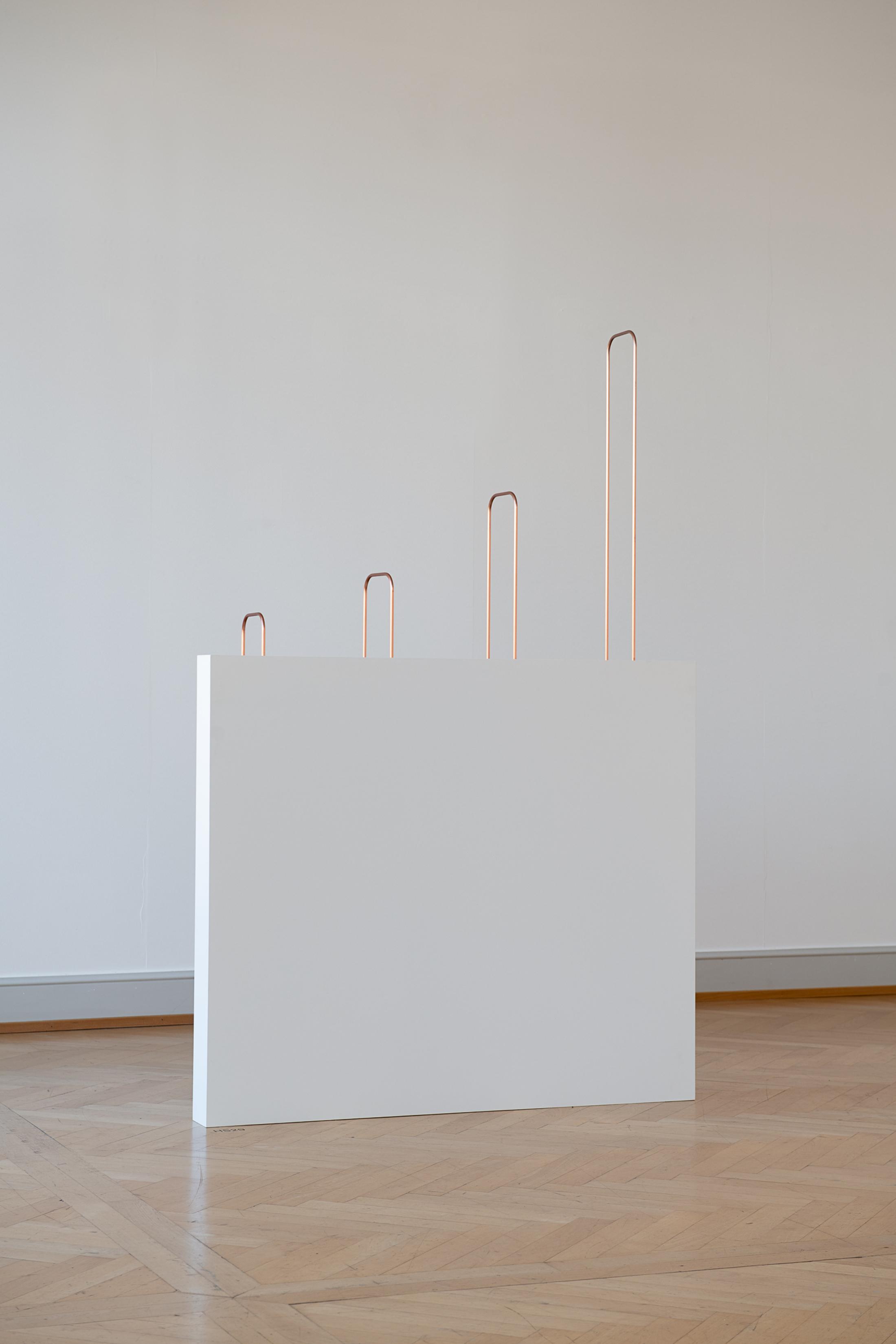 Exhibition View Iman Issa Soloshow «Surrogates; view on Heritage Studies #29, 2017» at Kunstmuseum St. Gallen, St. Gallen, 2019 / Photo: Sebastian Stadler / Courtesy: the artist; Rodeo, London/Piraeus und carlier | gebauer Berlin/Madrid