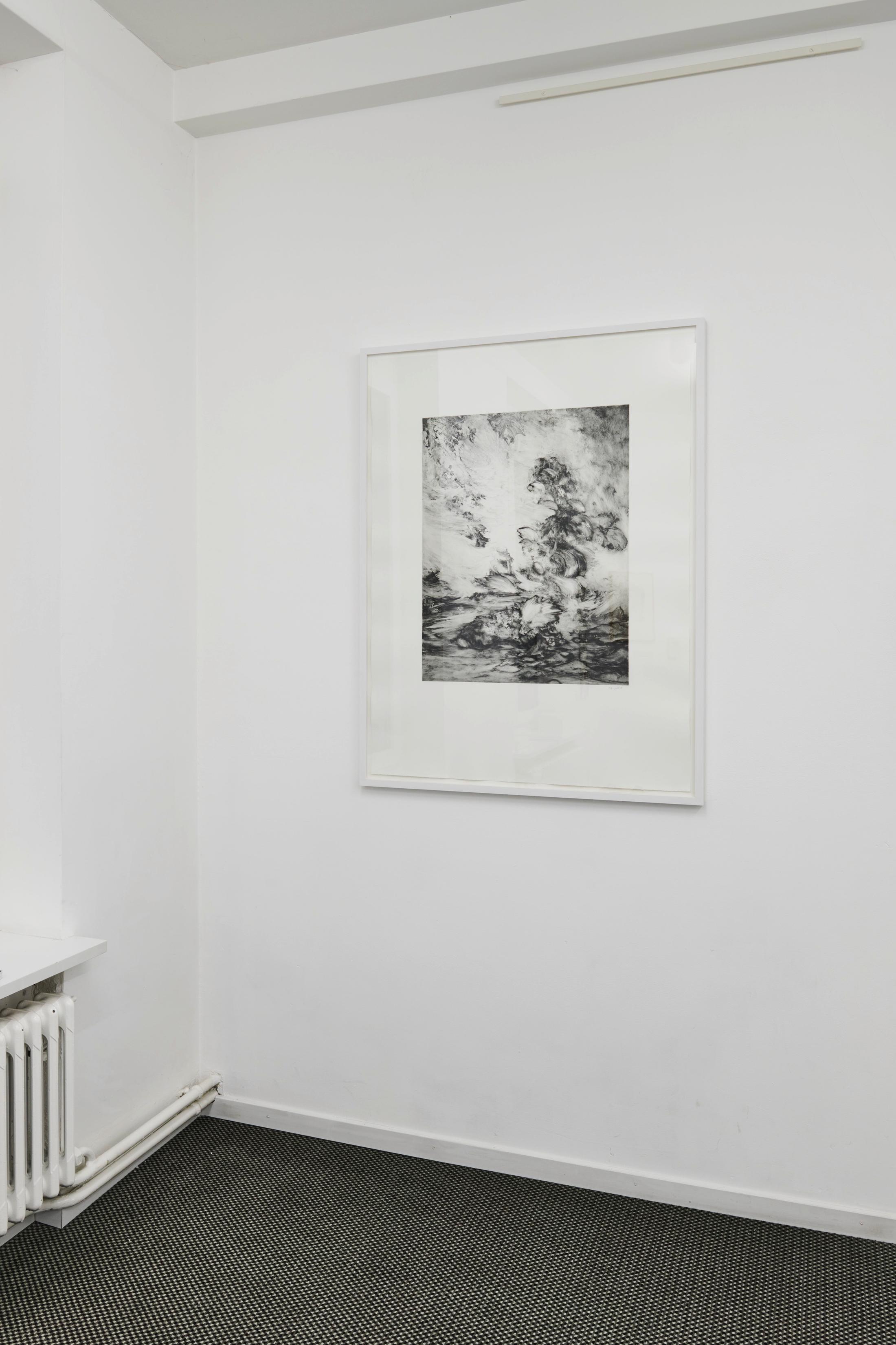 Exhibition View Groupshow «Intaglio and Lithography: Works on Paper; view on Julia Steiner, Kraut (surround), 2010» at Edition VFO, Zurch, 2020 / Photo: Sabina Bosch / Courtesy: the artists and Edition VFO