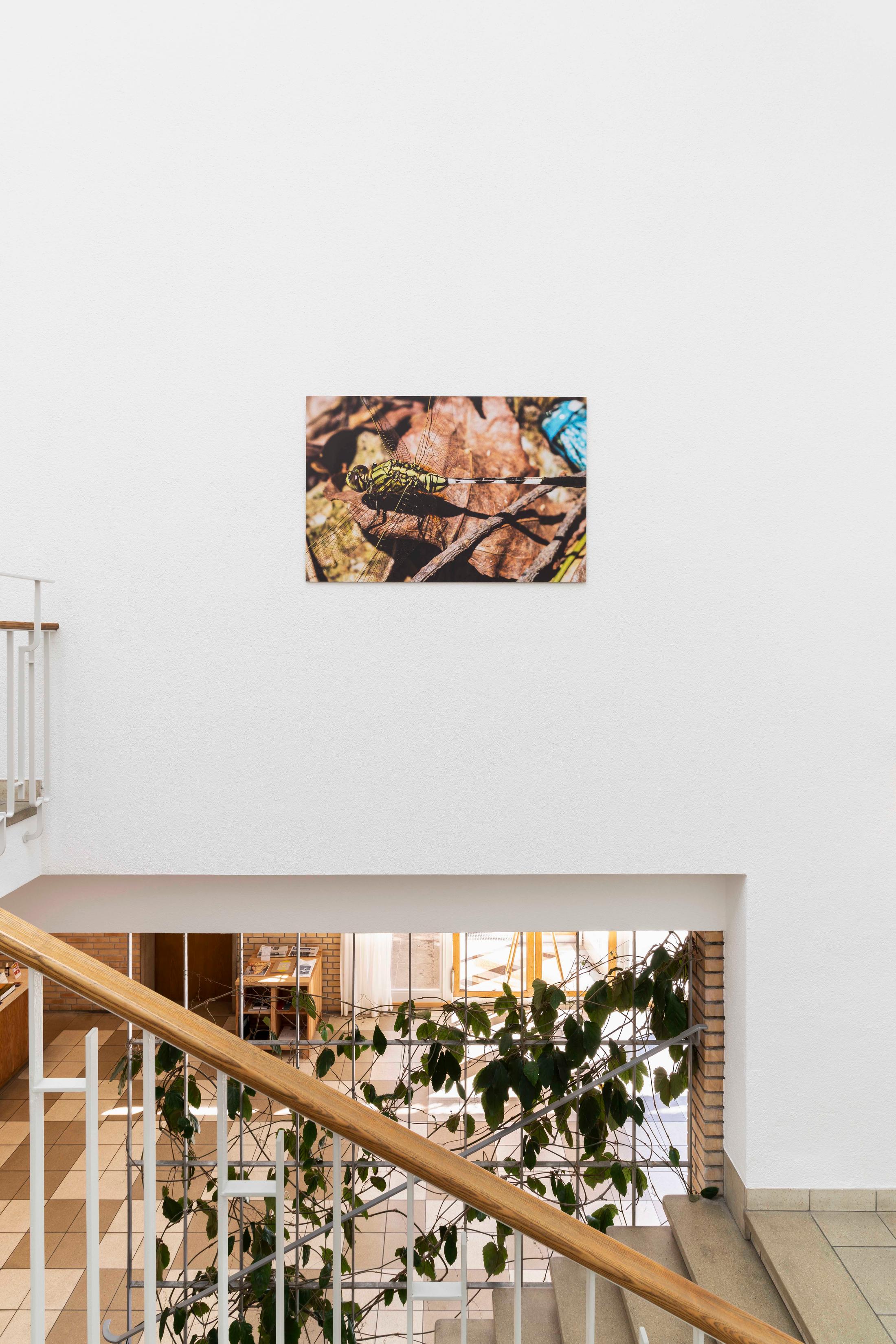 Exhibition View Jan Vorisek Soloshow «Collapse Poem; view on Devotion Strategy, 2020» at Kunsthaus Glarus, Glarus, 2020 / Photo: Gunnar Meier / Courtesy: the artist and Galerie Bernhard, Zurich
