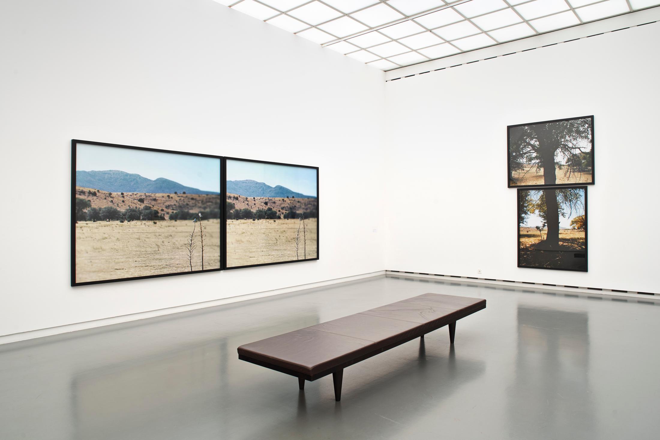 Exhibition View Jean-Luc Mylayne Soloshow «The Autumn of Paradise» at Aargauer Kunsthaus, Aarau / Photo: Dominic Büttner / © Jean-Luc Mylayne / Courtesy: Mylène & Jean-Luc Mylayne; Gladstone Gallery, New York, Bruxelles; Sprüth Magers, Berlin, London, Los Angeles