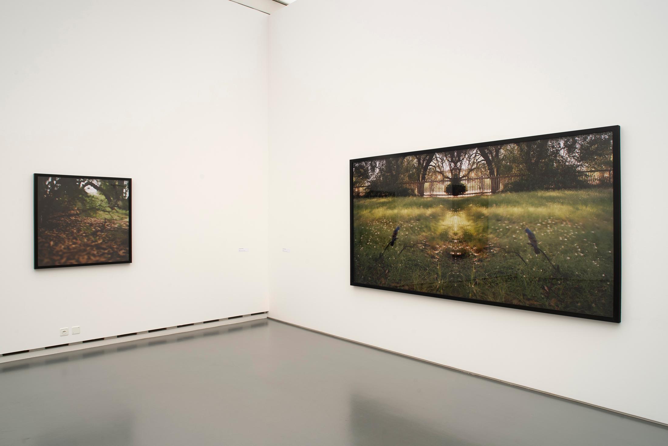 Exhibition View Jean-Luc Mylayne Soloshow «The Autumn of Paradise» at Aargauer Kunsthaus, Aarau / Photo: Dominic Büttner / © Jean-Luc Mylayne / Courtesy: Mylène & Jean-Luc Mylayne; Gladstone Gallery, New York, Bruxelles; Sprüth Magers, Berlin, London, Los Angeles