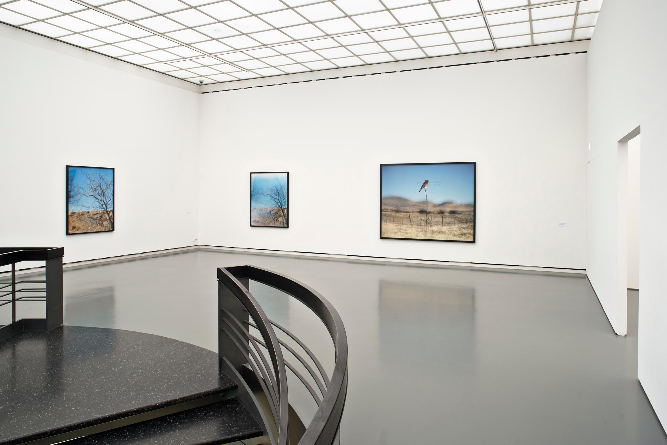 Exhibition View Jean-Luc Mylayne Soloshow «The Autumn of Paradise» at Aargauer Kunsthaus, Aarau / Photo: Dominic Büttner / © Jean-Luc Mylayne / Courtesy: Mylène & Jean-Luc Mylayne; Gladstone Gallery, New York, Bruxelles; Sprüth Magers, Berlin, London, Los Angeles