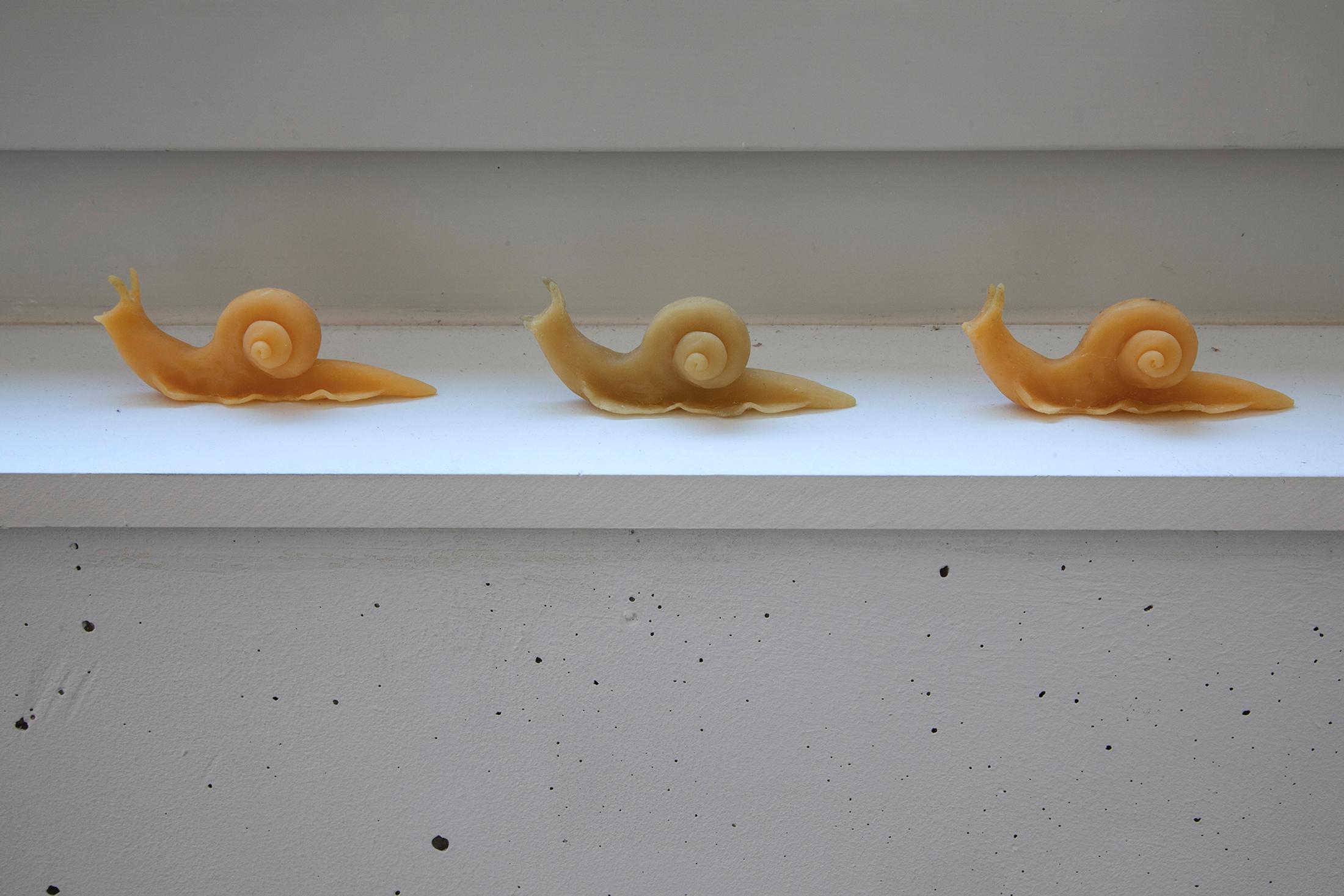 Exhibition View Jeanne Tara Solo Show «La mesure des possibles» at Espace 3353, Carouge, 2022 / Photo: Anastasia Mityukova / Courtesy: the artist and Espace 3353