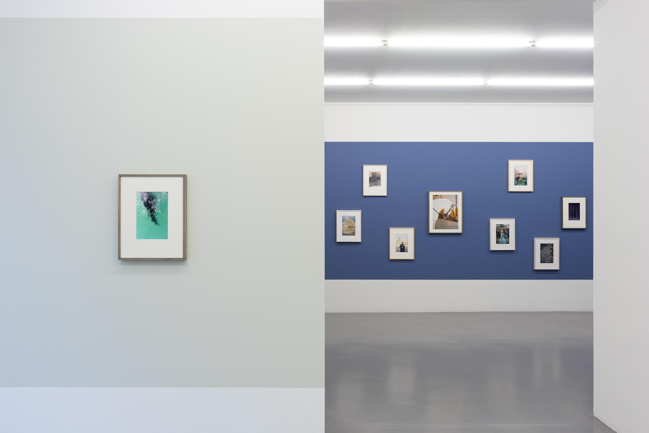 Exhibition View Jitka Hanzlová Soloshow at Mai 36, Zurich, 2020 / Courtesy: the artist and Mai 36