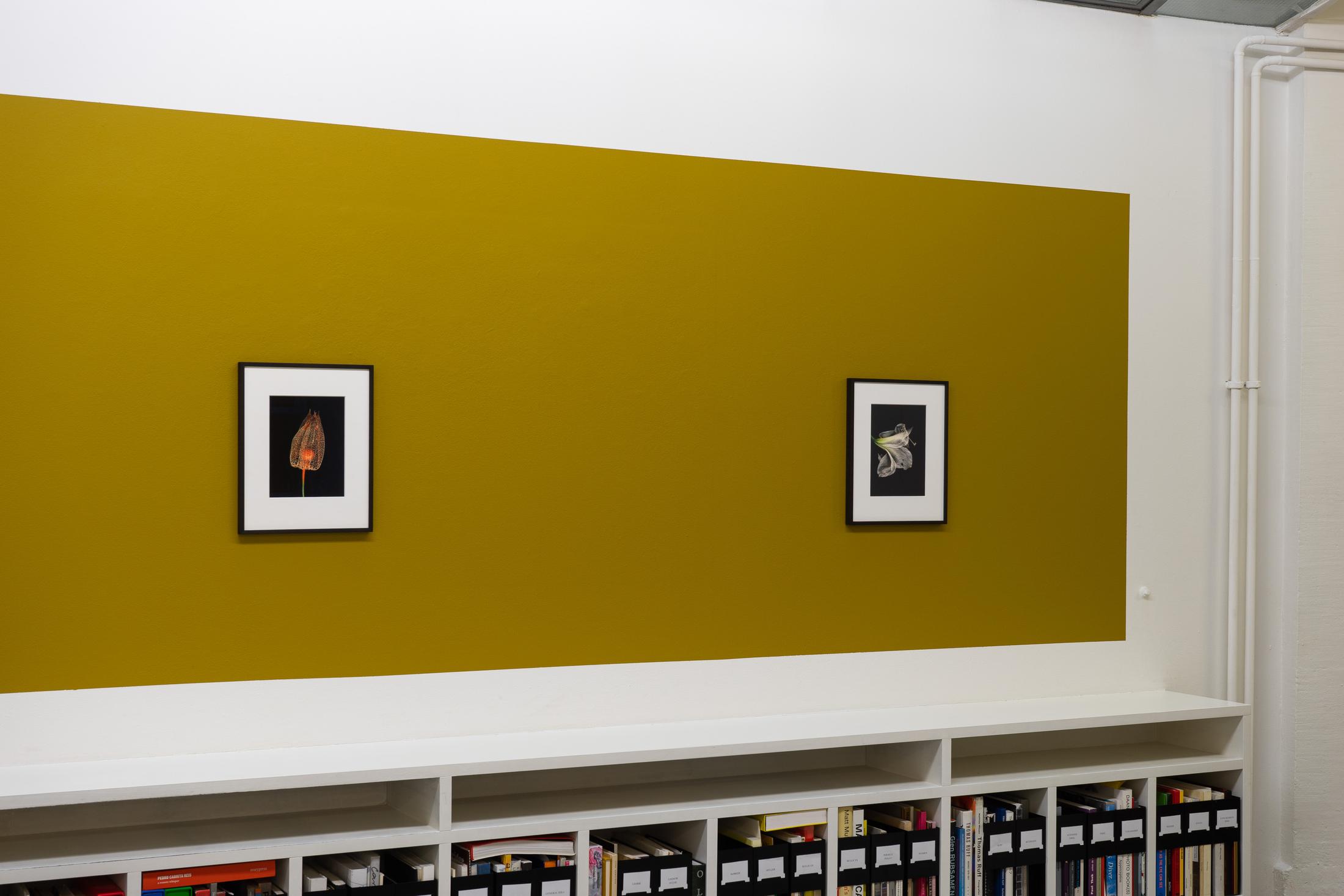 Exhibition View Jitka Hanzlová Soloshow at Mai 36, Zurich, 2020 / Courtesy: the artist and Mai 36