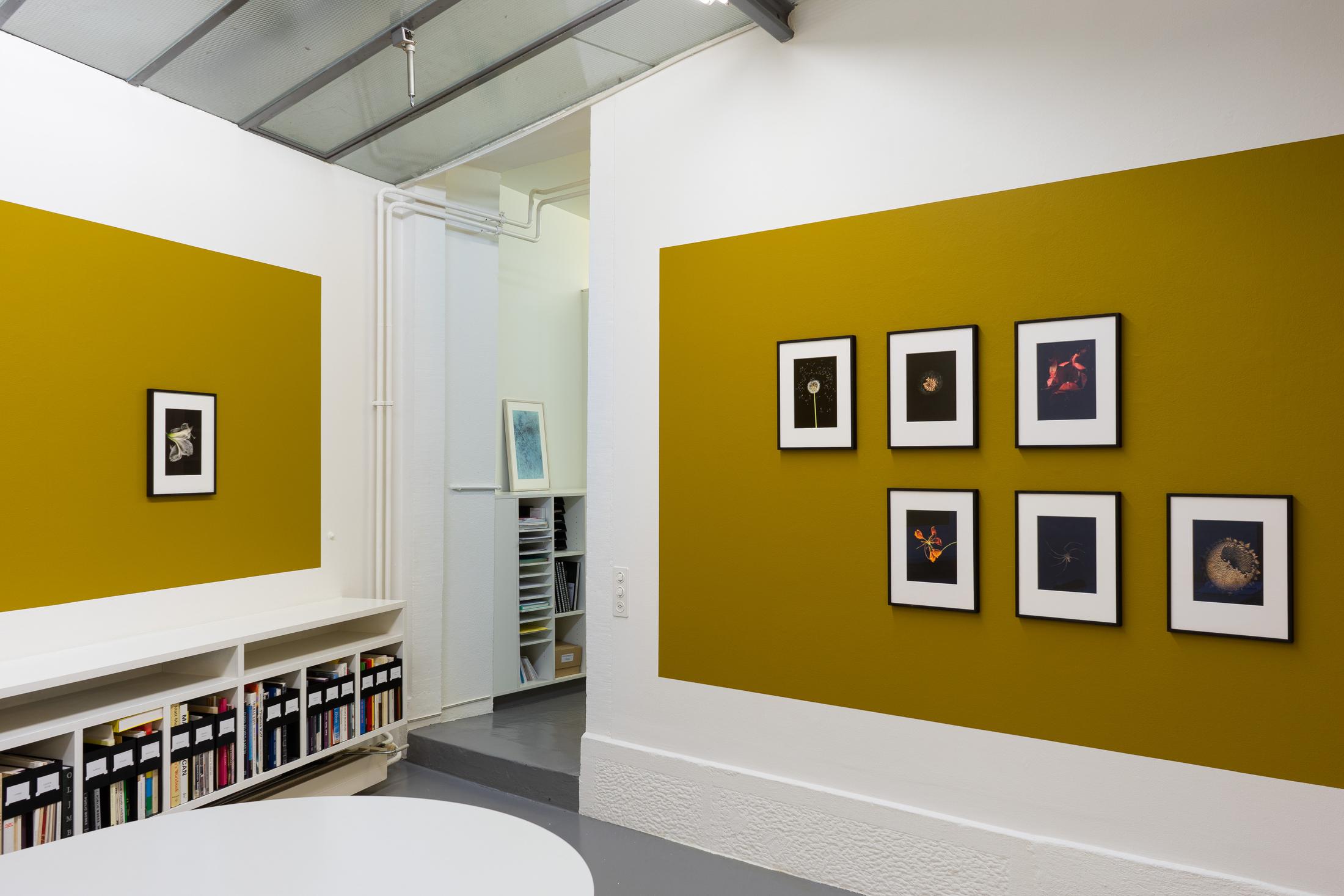 Exhibition View Jitka Hanzlová Soloshow at Mai 36 Galerie, Zurich, 2020 / Courtesy: the artist and Mai 36 Galerie