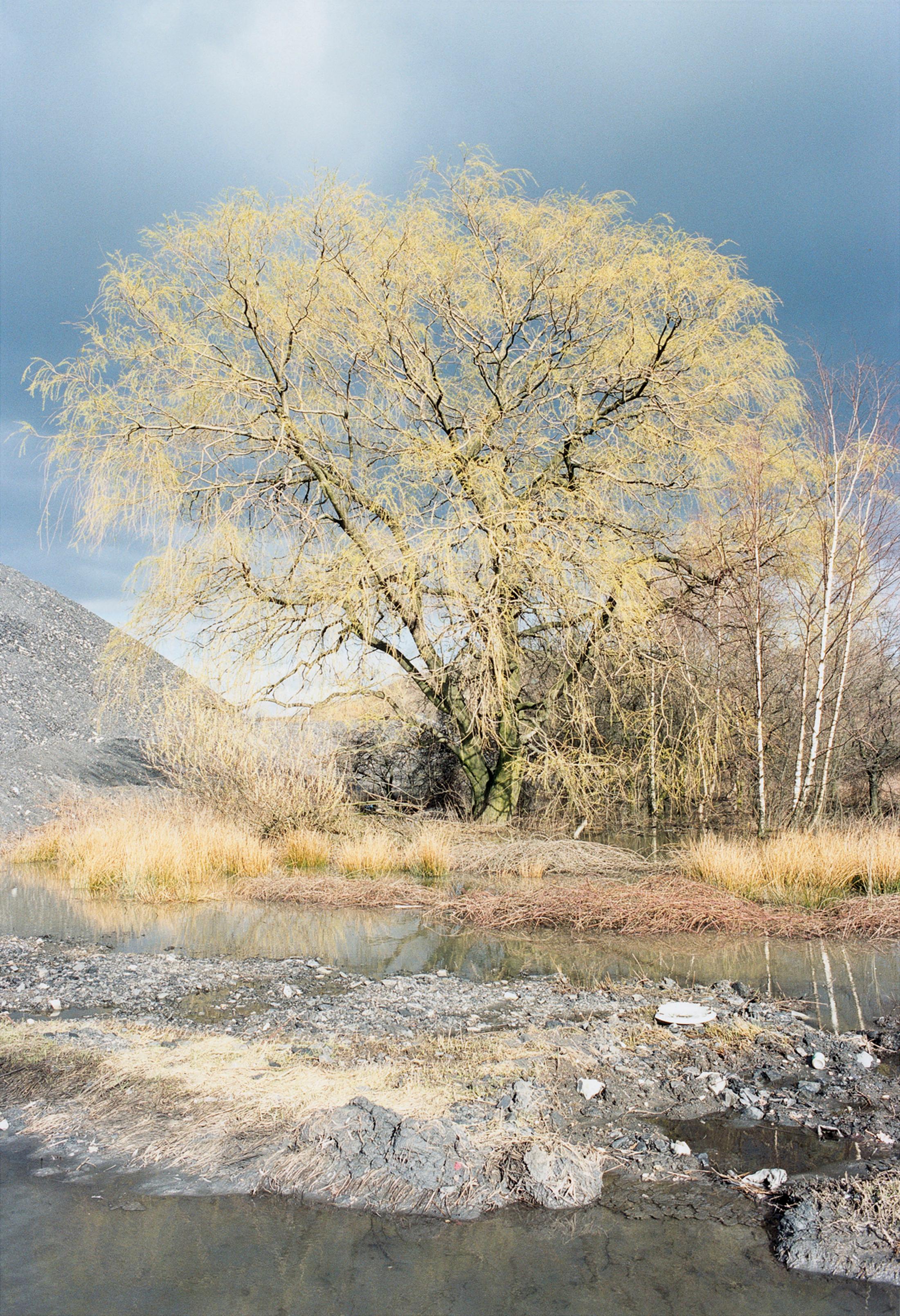 Exhibition View Jitka Hanzlová Soloshow (view on Jitka Hanzlová, Untitled (Thunderstorm) from "Hier", 1998, c-print, edition of 8, ed. 7/8 + 3 AP, image 30.3 x 20.2 cm) at Mai 36, Zurich, 2020 / Courtesy: the artist and Mai 36