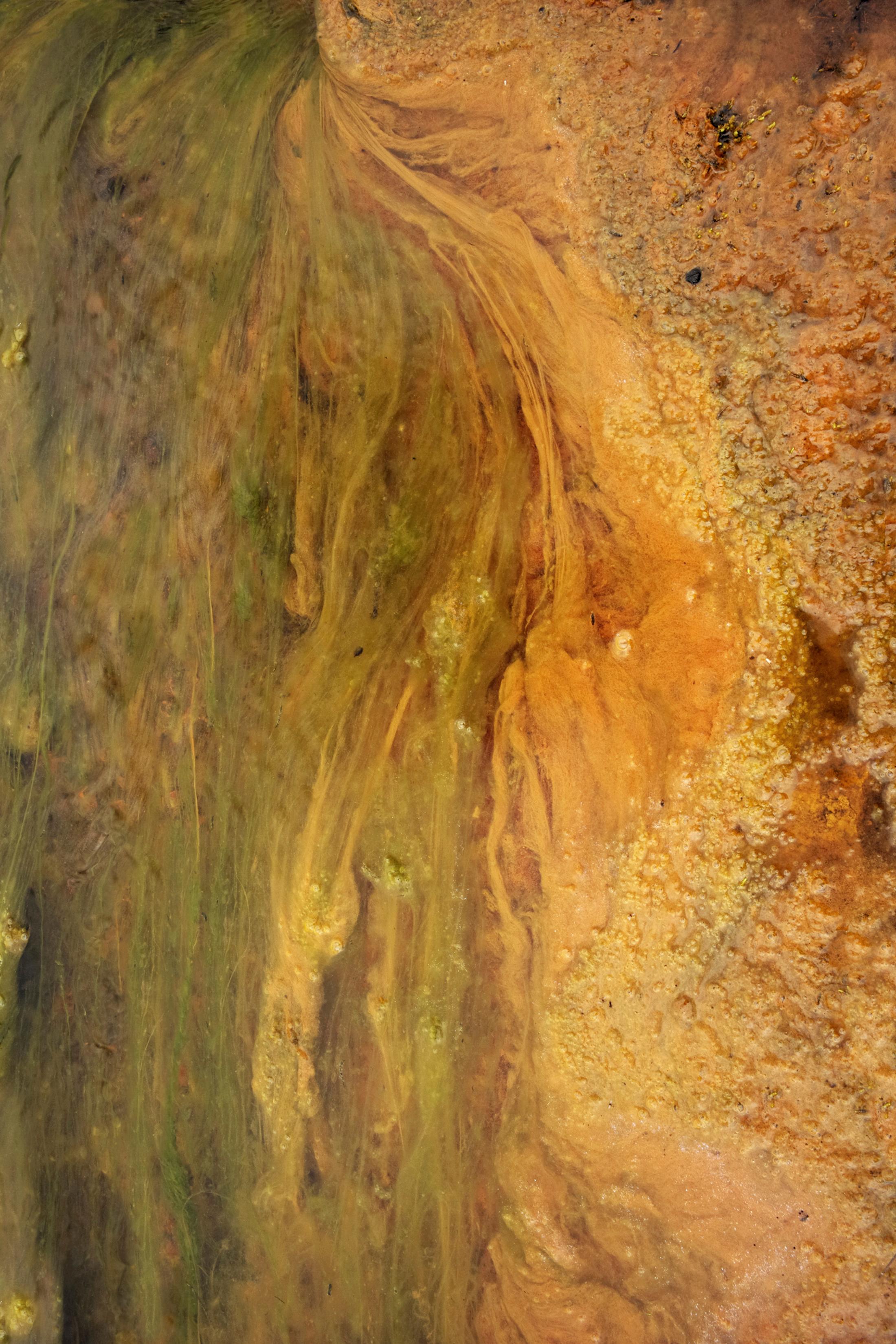 Exhibition View Jitka Hanzlová Soloshow (view on Jitka Hanzlová, UR#4 Untitled, 2018 (rust), from "WATER", 2018, c-print, edition of 8, ed. 8/8 + 3 AP, image 44 x 29.5 cm) at Mai 36, Zurich, 2020 / Courtesy: the artist and Mai 36