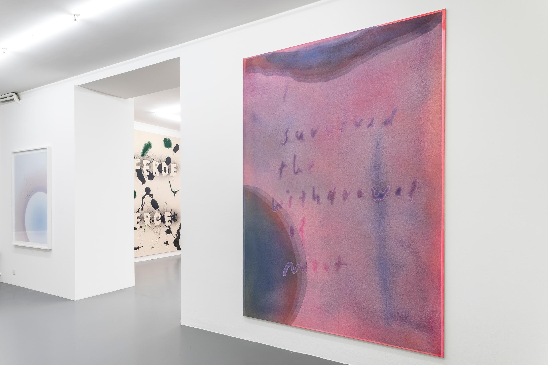 Exhibition View Jürgen Drescher «Kill Grill» at Mai 36 Galerie, Zurich / Photo & Courtesy: Mai 36 Galerie, Zurich and Pro Litteris-16