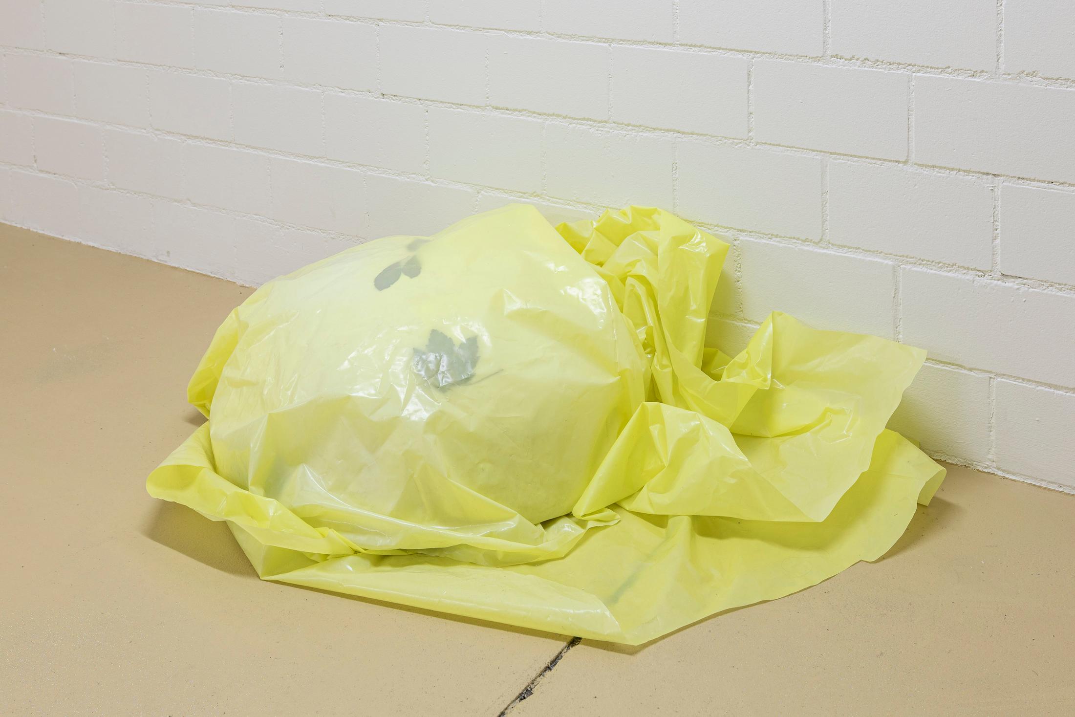 Exhibition View Julia Znoj Solo Show «aquadrome bubblepad» at unanimous consent, Zurich, 2021 / Photo: Michal Florence Schorro / Courtesy: unanimous consent and the artist