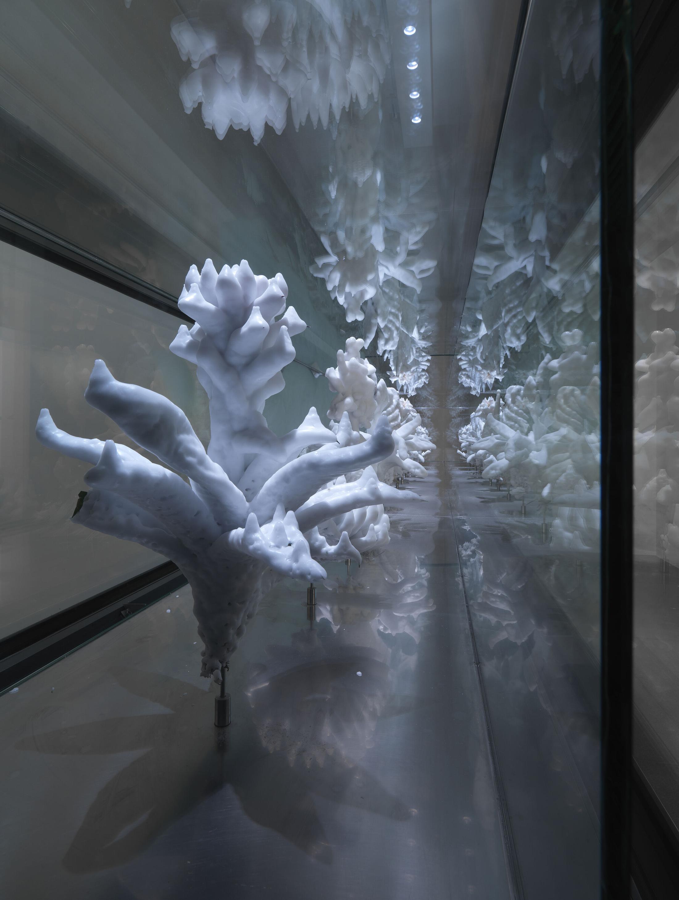 Exhibition View Julian Charrière Soloshow «Towards No Earthly Pole; view on Julian Charrière, Tropisme, 2014» at Aargauer Kunsthaus, Aarau, 2020 / Photo: Jens Ziehe / © 2020, ProLitteris, Zürich / Courtesy: the artist