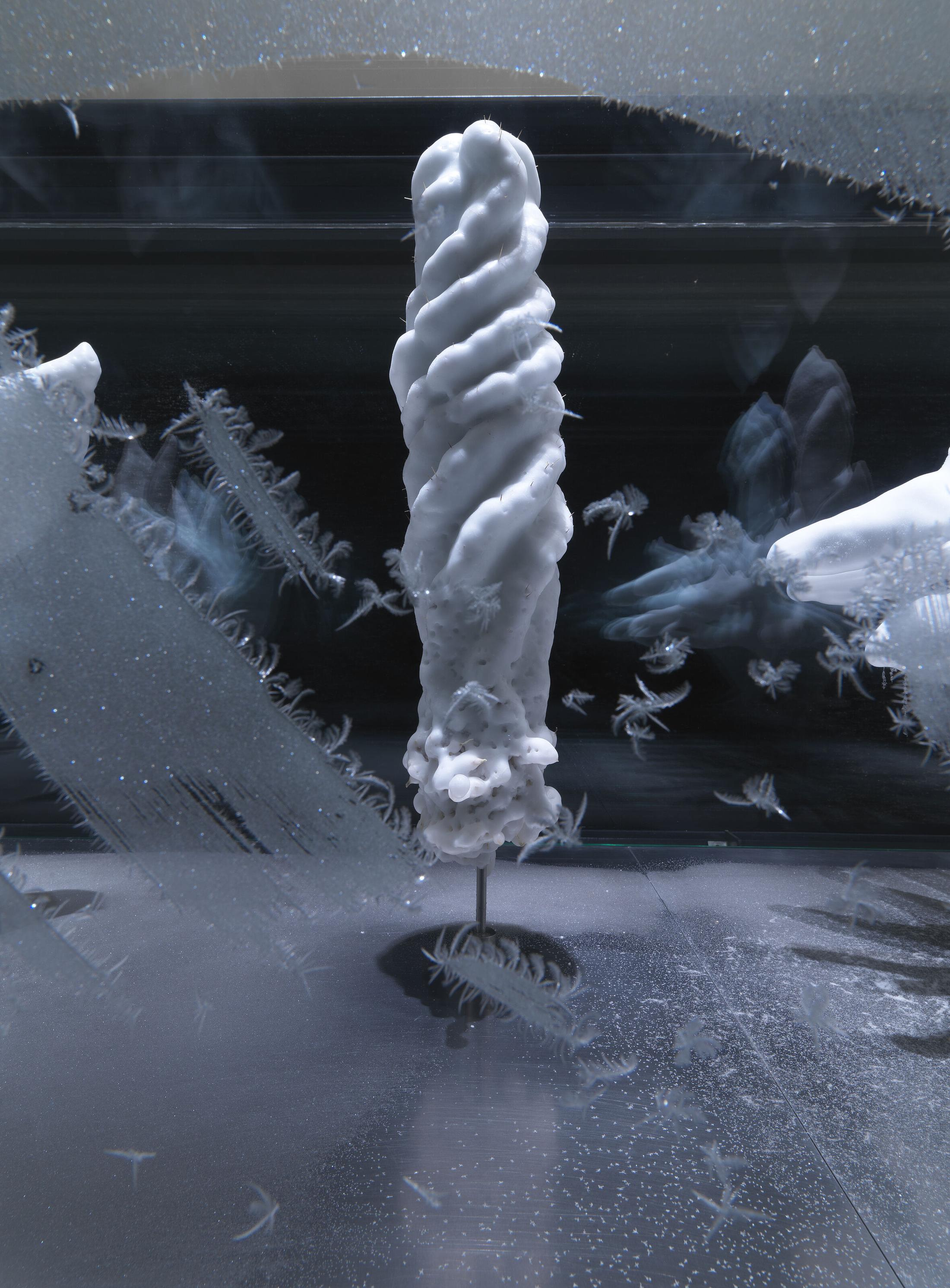 Exhibition View Julian Charrière Soloshow «Towards No Earthly Pole; view on Julian Charrière, Tropisme, 2014» at Aargauer Kunsthaus, Aarau, 2020 / Photo: Jens Ziehe / © 2020, ProLitteris, Zürich / Courtesy: the artist