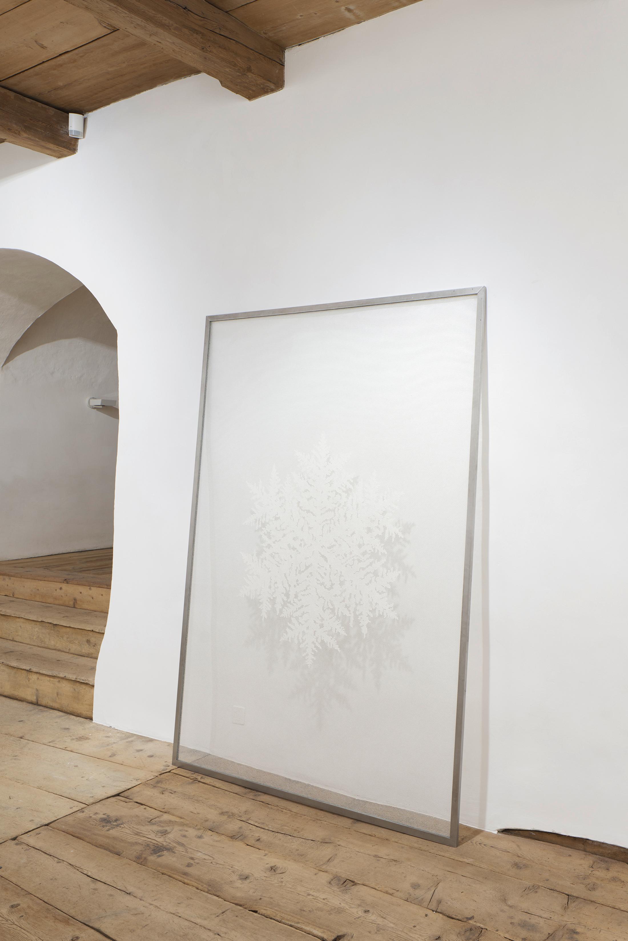 Installation View Julian Charrière Soloshow «Ever Since We Crawled Out / view on An Invitaton to Disappear, 2018» at Galerie Tschudi, Zuoz / Photo: Ralph Feiner / Courtesy: the artist and Galerie Tschudi, Zuoz