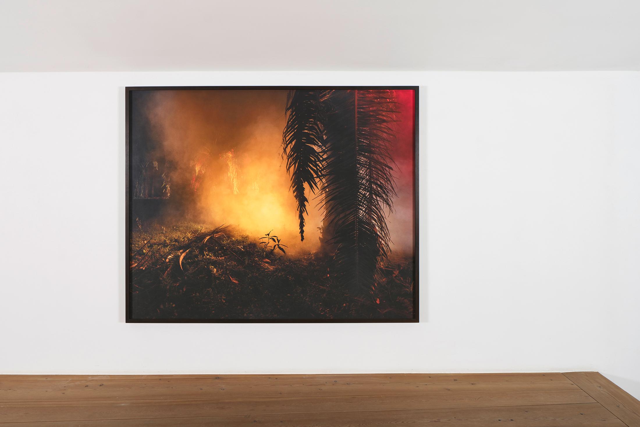 Installation View Julian Charrière Soloshow «Ever Since We Crawled Out / view on An Invitaton to Disappear, 2018» at Galerie Tschudi, Zuoz / Photo: Ralph Feiner / Courtesy: the artist and Galerie Tschudi, Zuoz