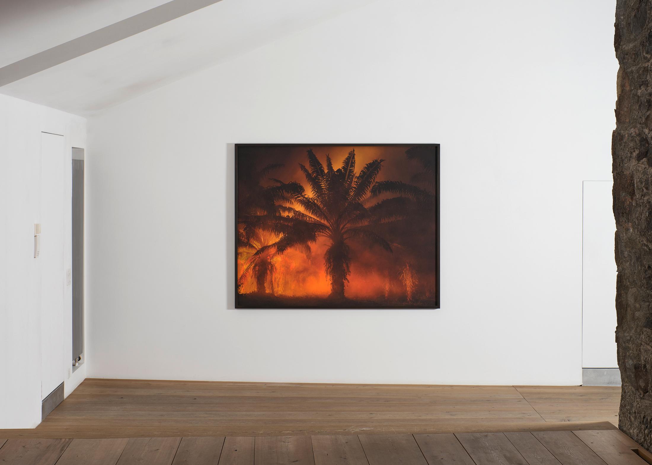 Installation View Julian Charrière Soloshow «Ever Since We Crawled Out / view on An Invitaton to Disappear, 2018» at Galerie Tschudi, Zuoz / Photo: Ralph Feiner / Courtesy: the artist and Galerie Tschudi, Zuoz